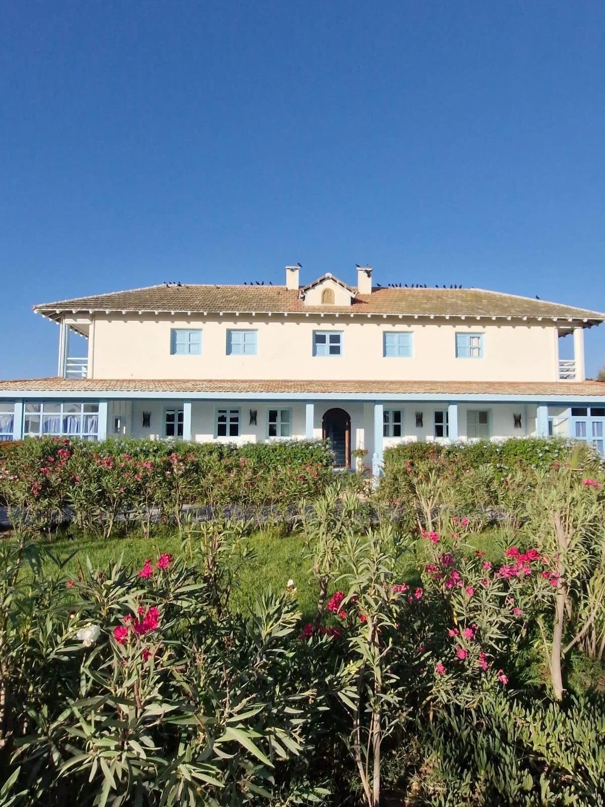 A large, two-story house with a light-colored exterior, multiple windows, and a tiled roof, surrounded by lush green bushes and flowering plants under a clear blue sky.