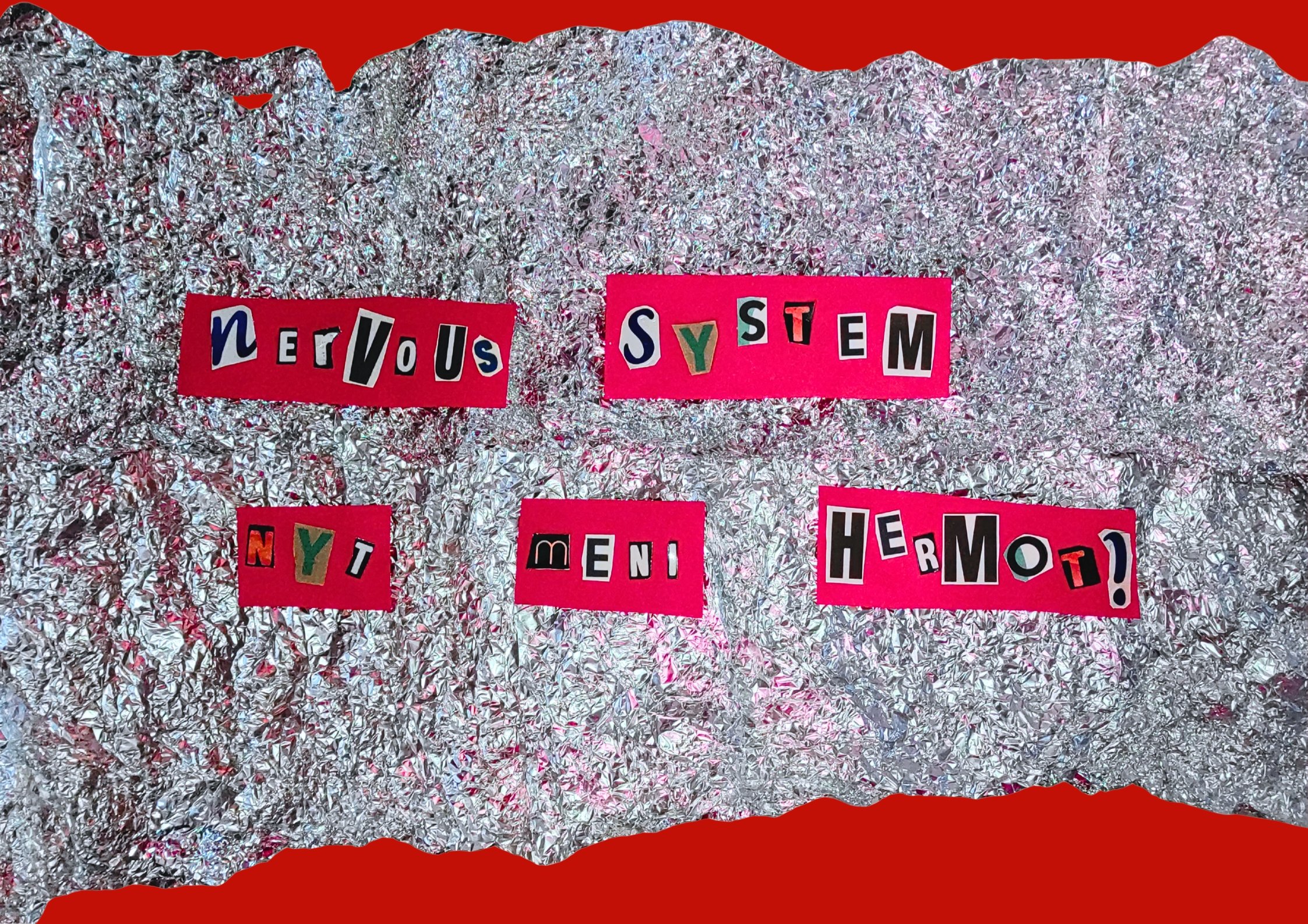 Taidepedagoginen teos: Nervous System – Nyt meni hermot!