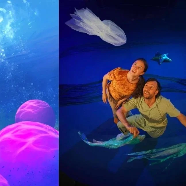 Blind Gut Company: Aallon alla kippuralla