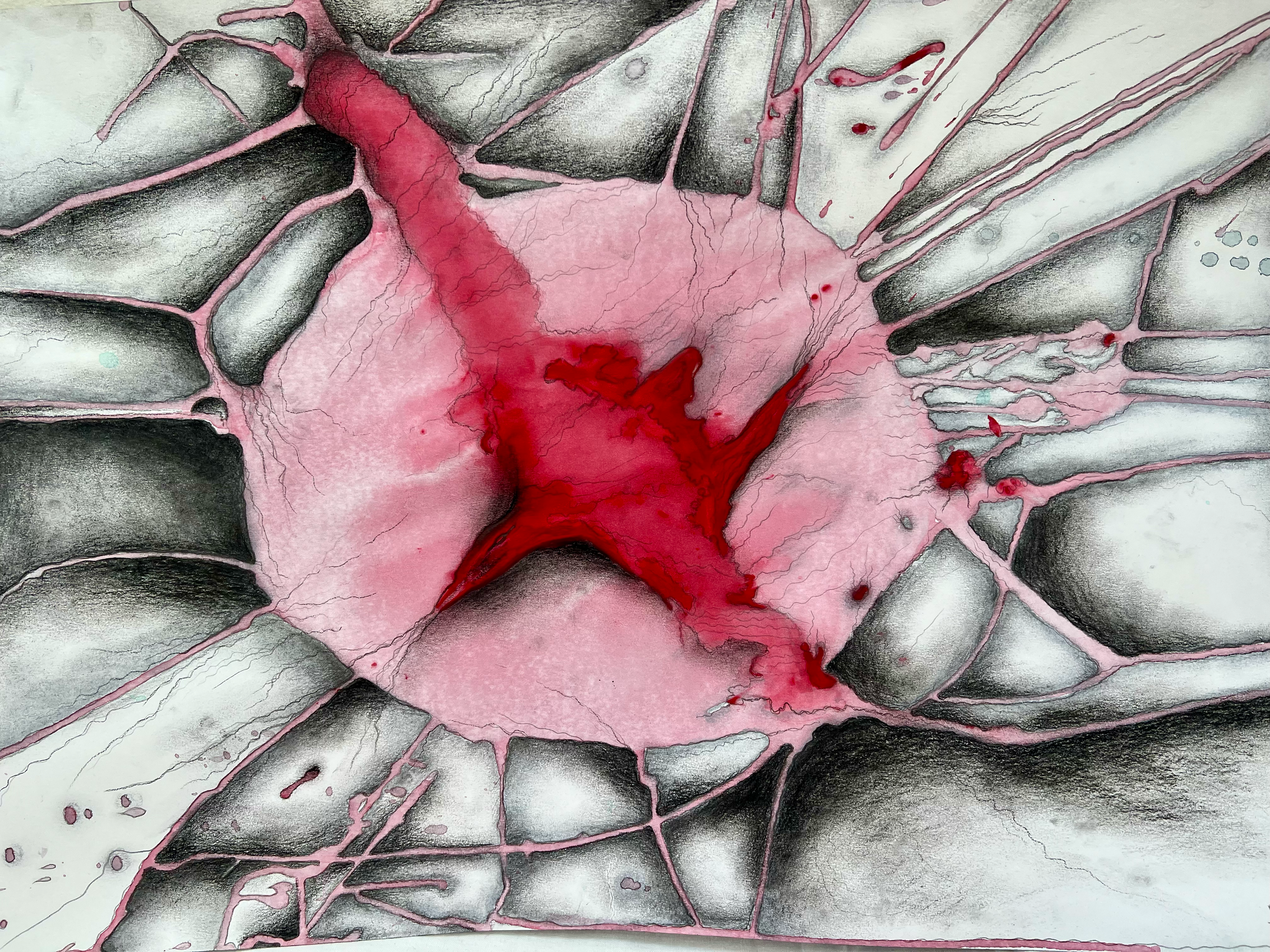 Nové začátky x Fénix 