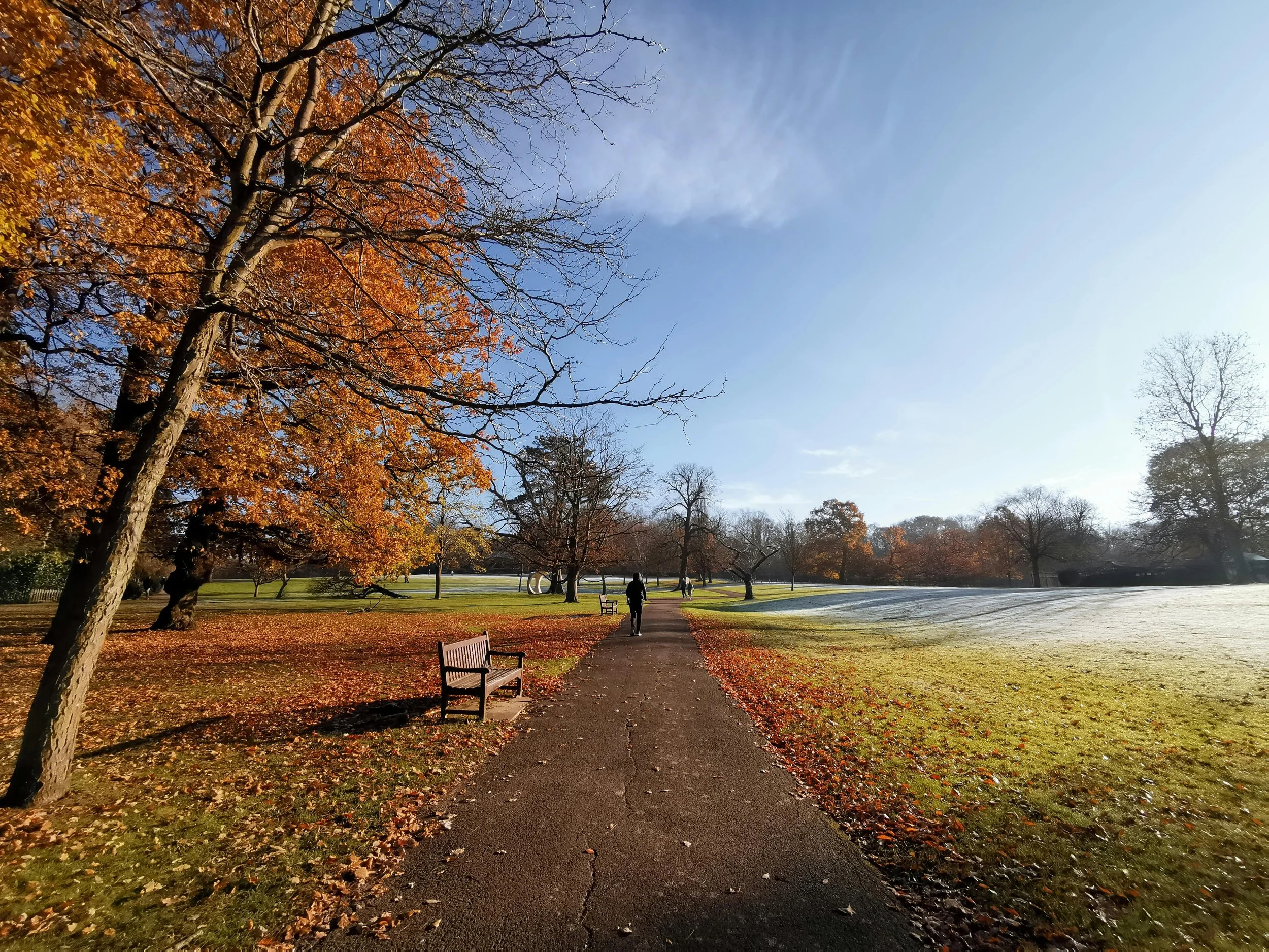 A park scene in autumn showing a winding path, leafless trees, some with orange leaves, and a person walking in the distance on a sunny day with clear blue sky.