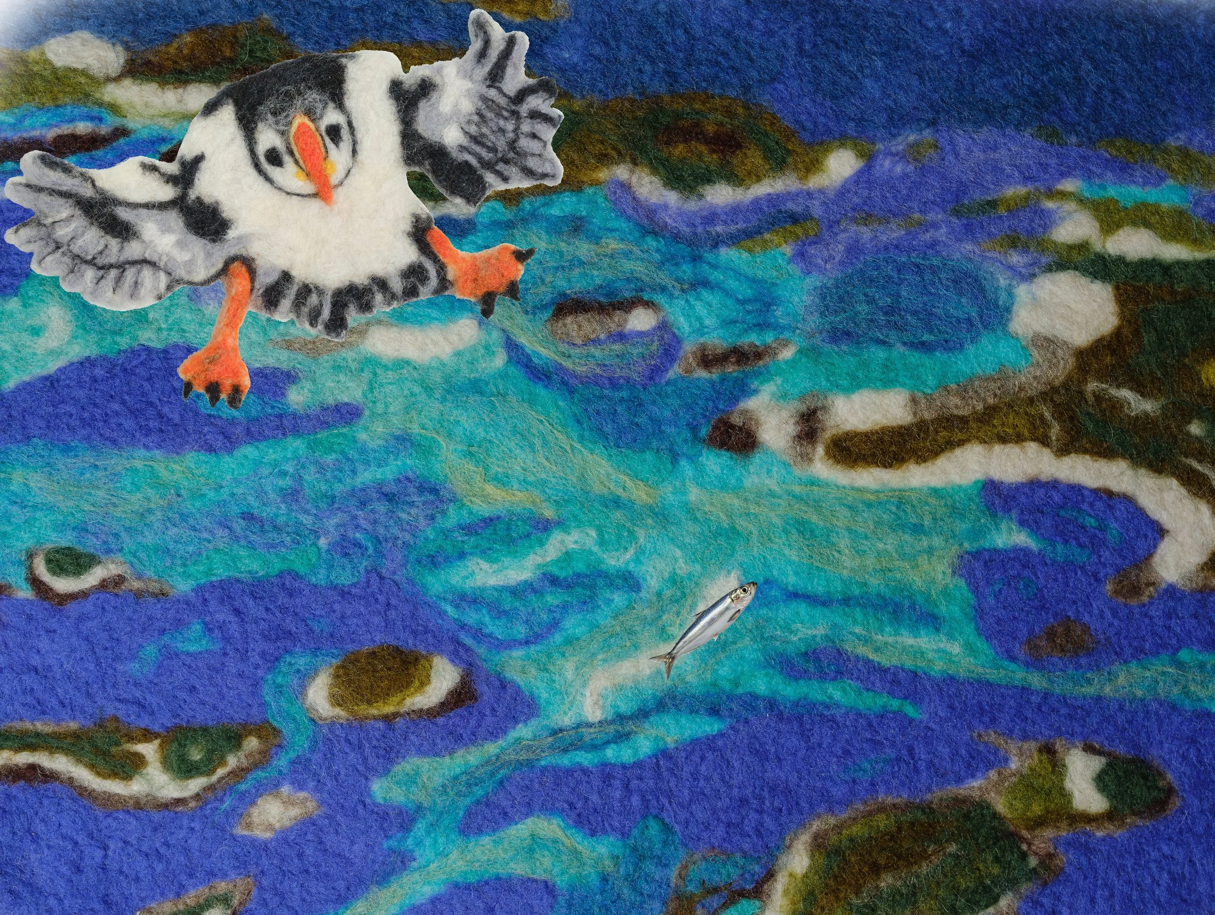 Muffin flying over the islands