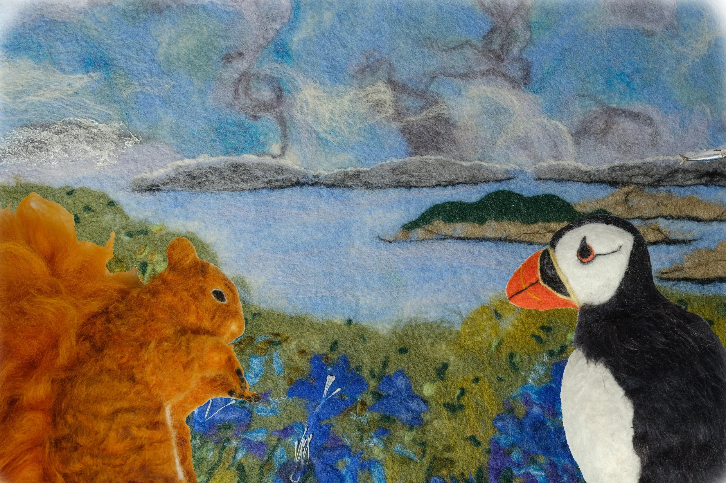 Squirrel and Muffin chat on Tresco