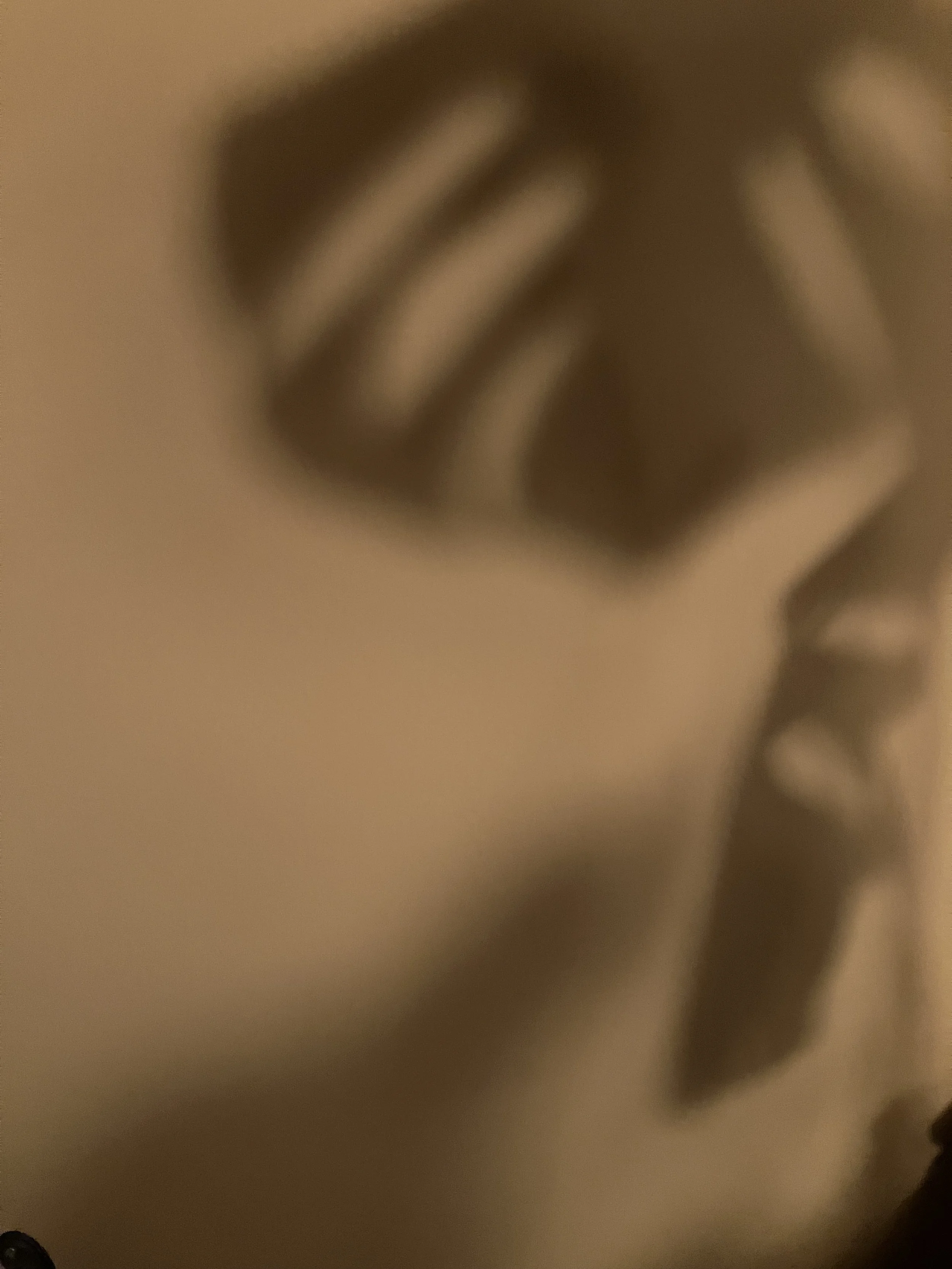 blank canvas counselling cornwall studio shadows