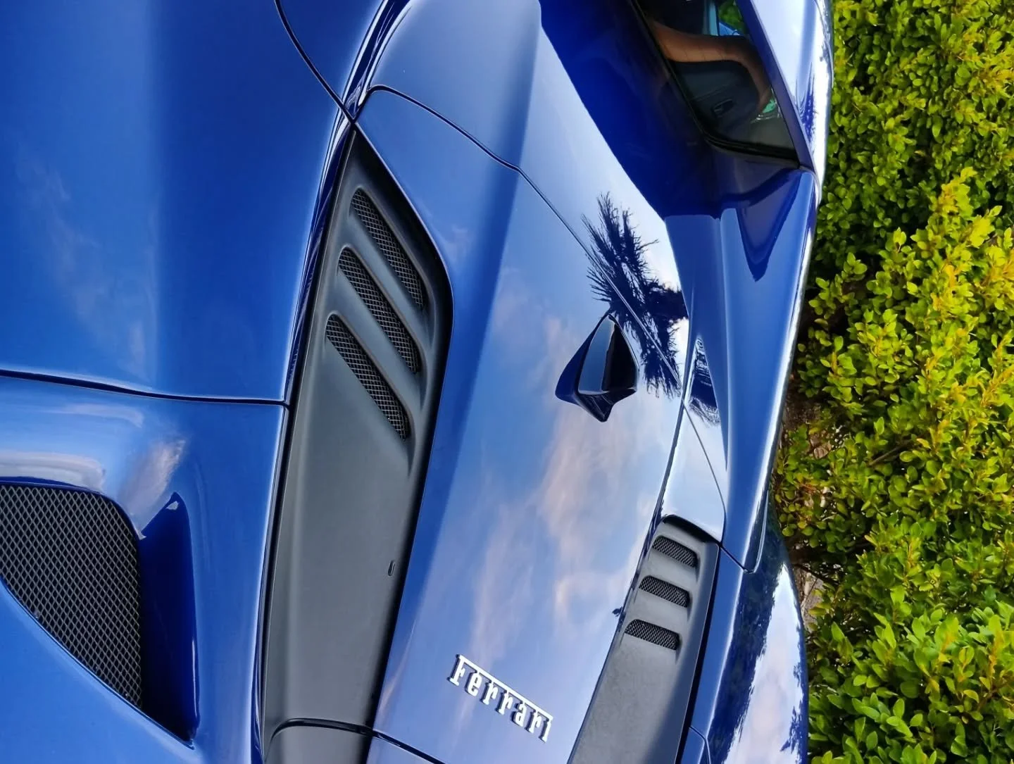Close-up of a blue Ferrari sports car with black vents, parked near green bushes, reflecting the cloudy sky and palm tree in its surface.