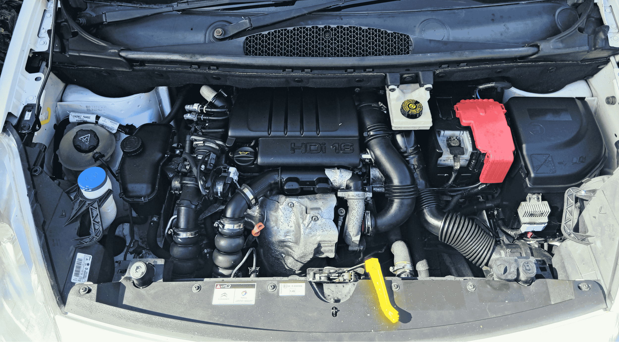 Car engine bay with various components including an HDI 16 engine, black hoses, a red battery terminal cover, and a blue coolant cap.