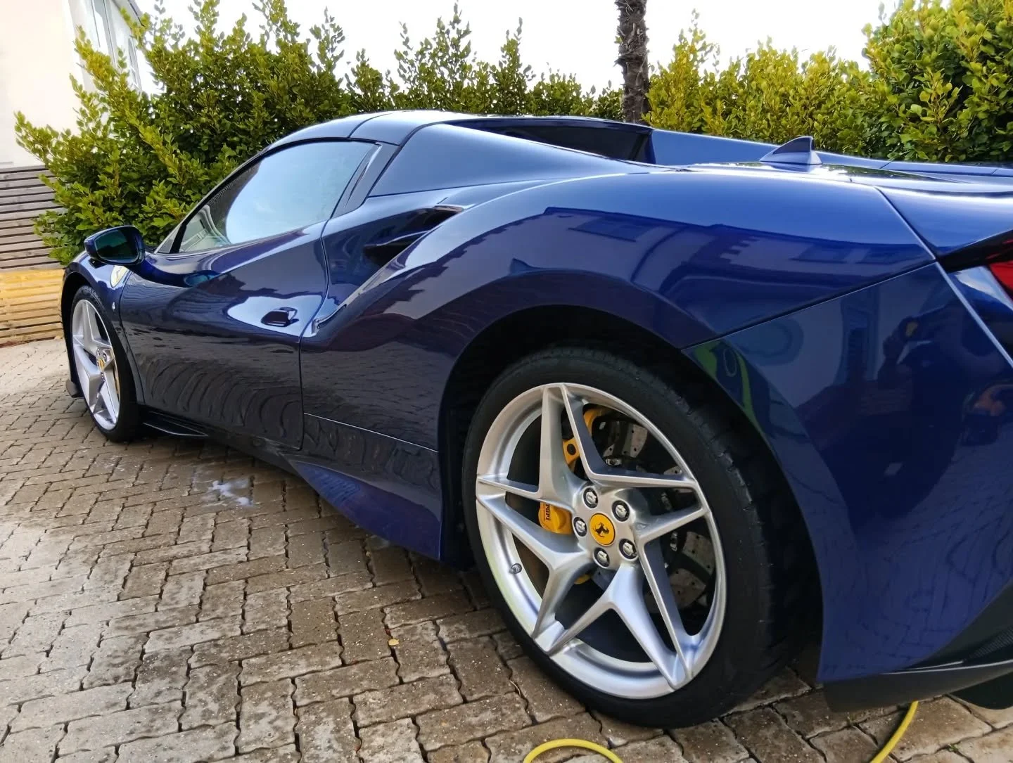 Close-up of a sleek blue Ferrari sports car parked on a brick driveway, with green shrubbery and palm trees in the background.
