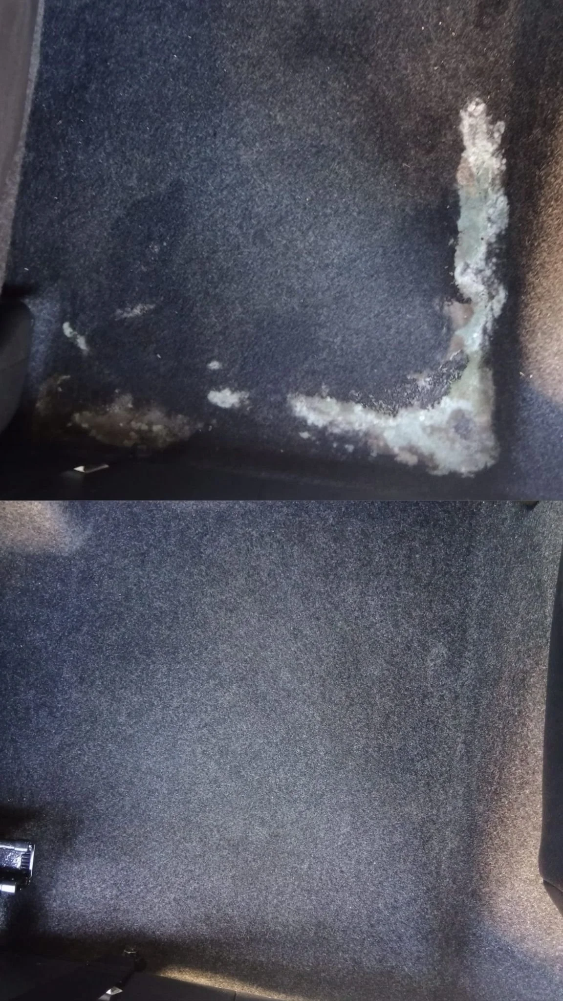 Comparison of a dirty, moldy car floor mat before and after cleaning, showing significant dirt and mold removal.
