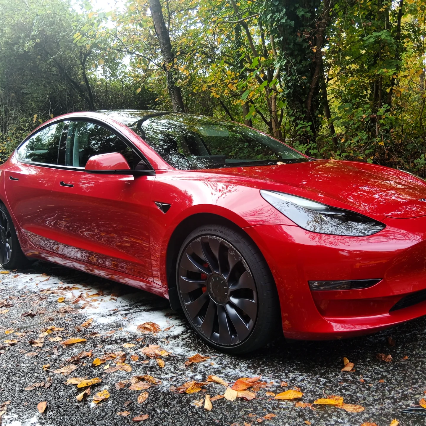 Red Tesla Model 3 parked on a leaf-covered, snowy ground in a wooded area.