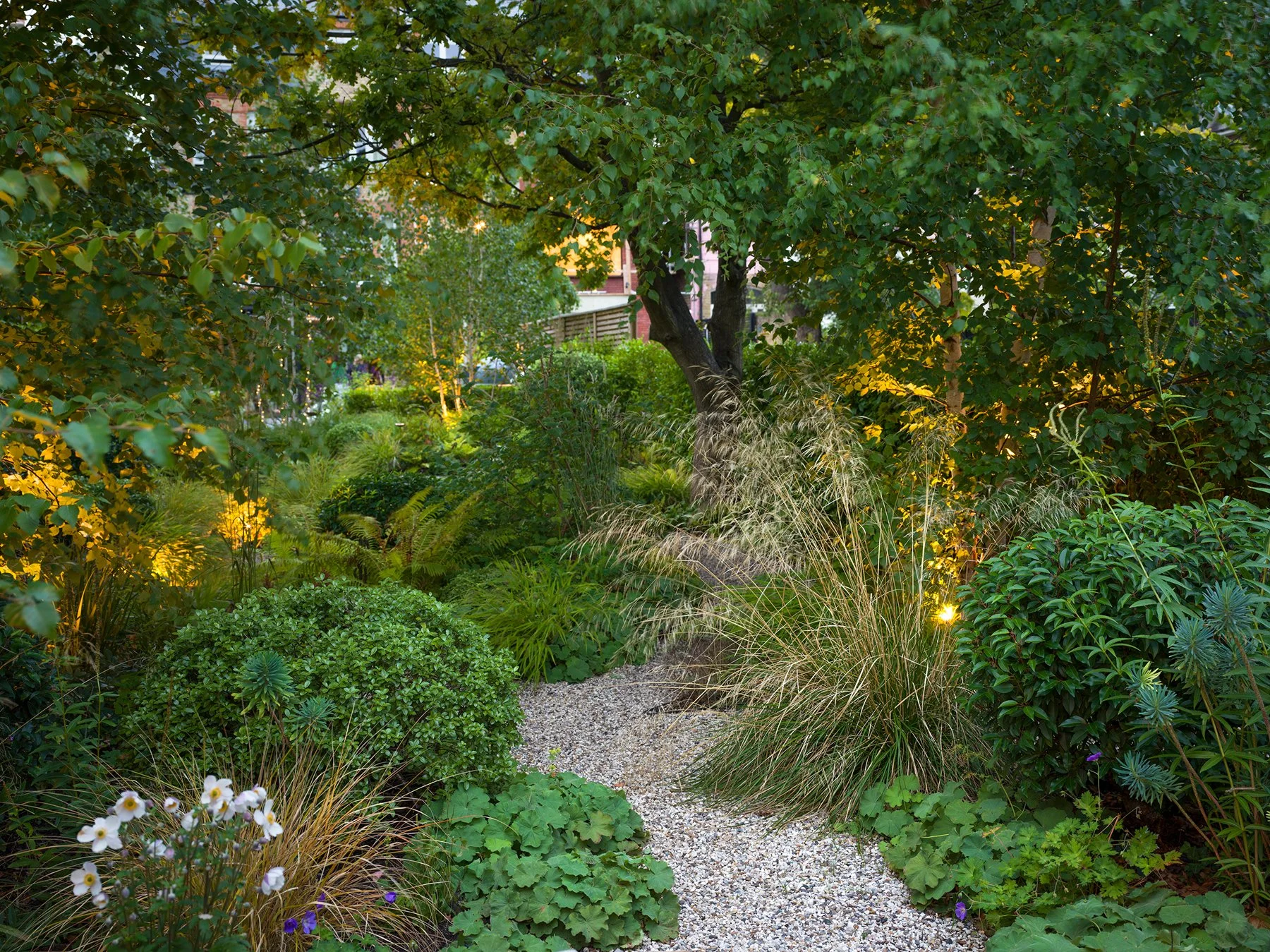 A lush garden with various green plants, bushes, and trees, illuminated by small yellow lights, featuring a winding gravel path.