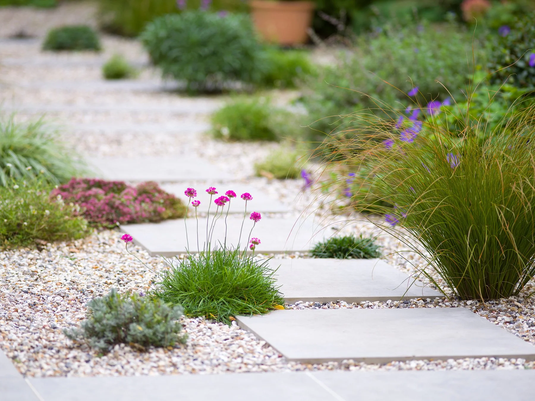 A pathway in a garden with square concrete stepping stones surrounded by small pebbles, with flowering plants and ornamental grasses along the edges.