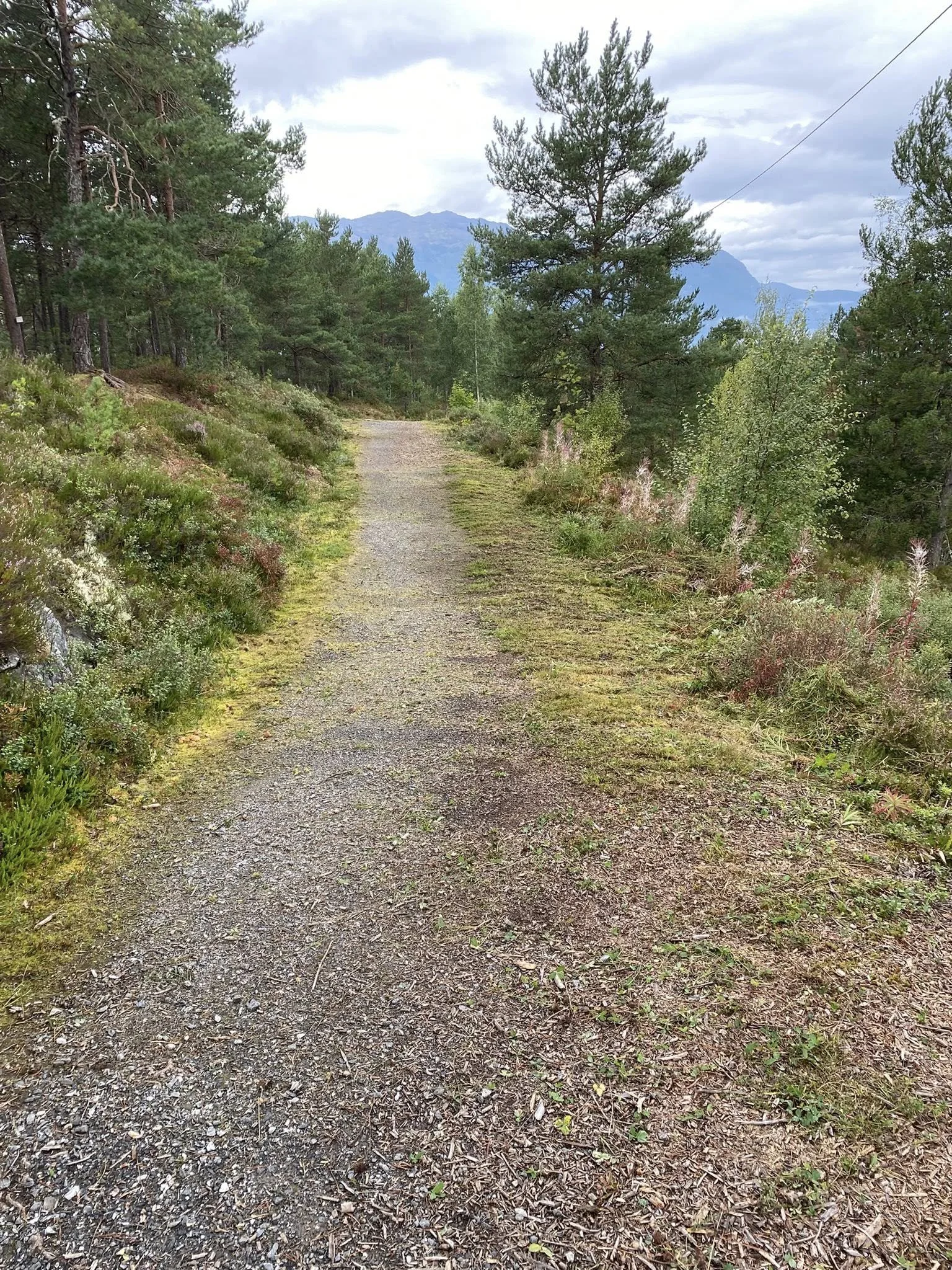 Jørn-541745336_10228803823176355_3852074574411314654_n.jpg