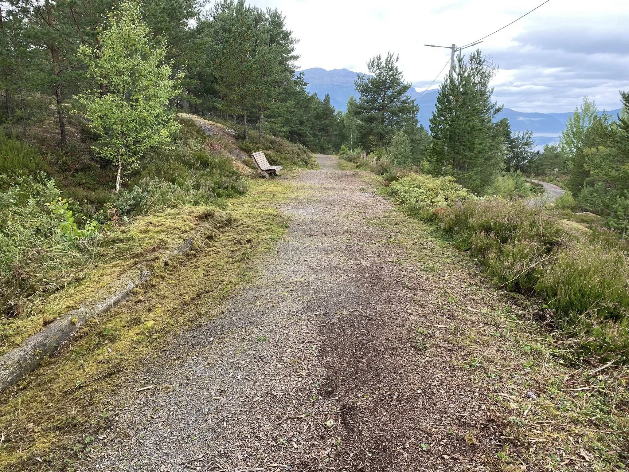 Jørn-541619577_10228803822736344_8873426329068413327_n.jpg