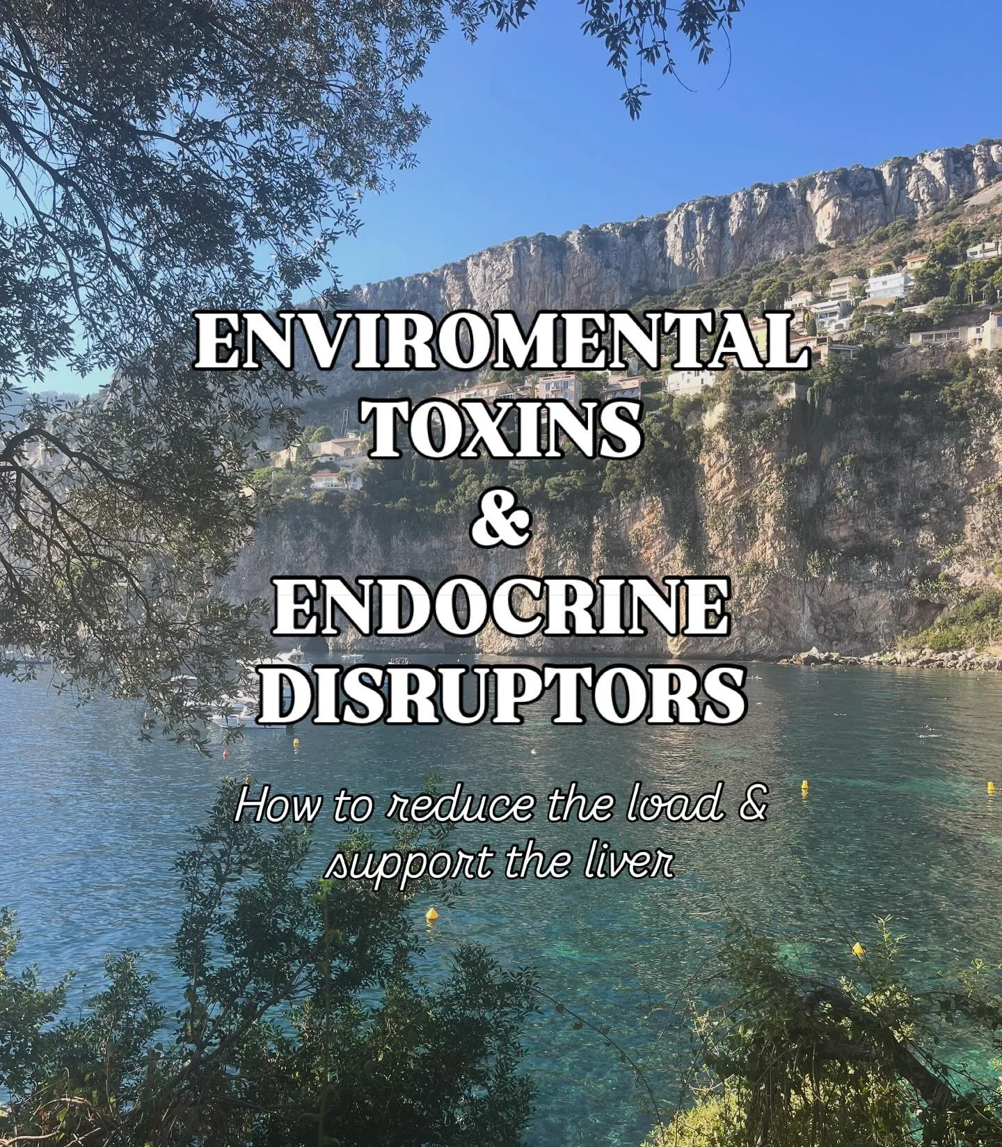 The liver is part of our bodies own detox system and it does a great job at detoxifying - but it can only do so much!
If our toxic exposure becomes elevated, which is very common in the modern world, then this system can become overwhelmed & dys