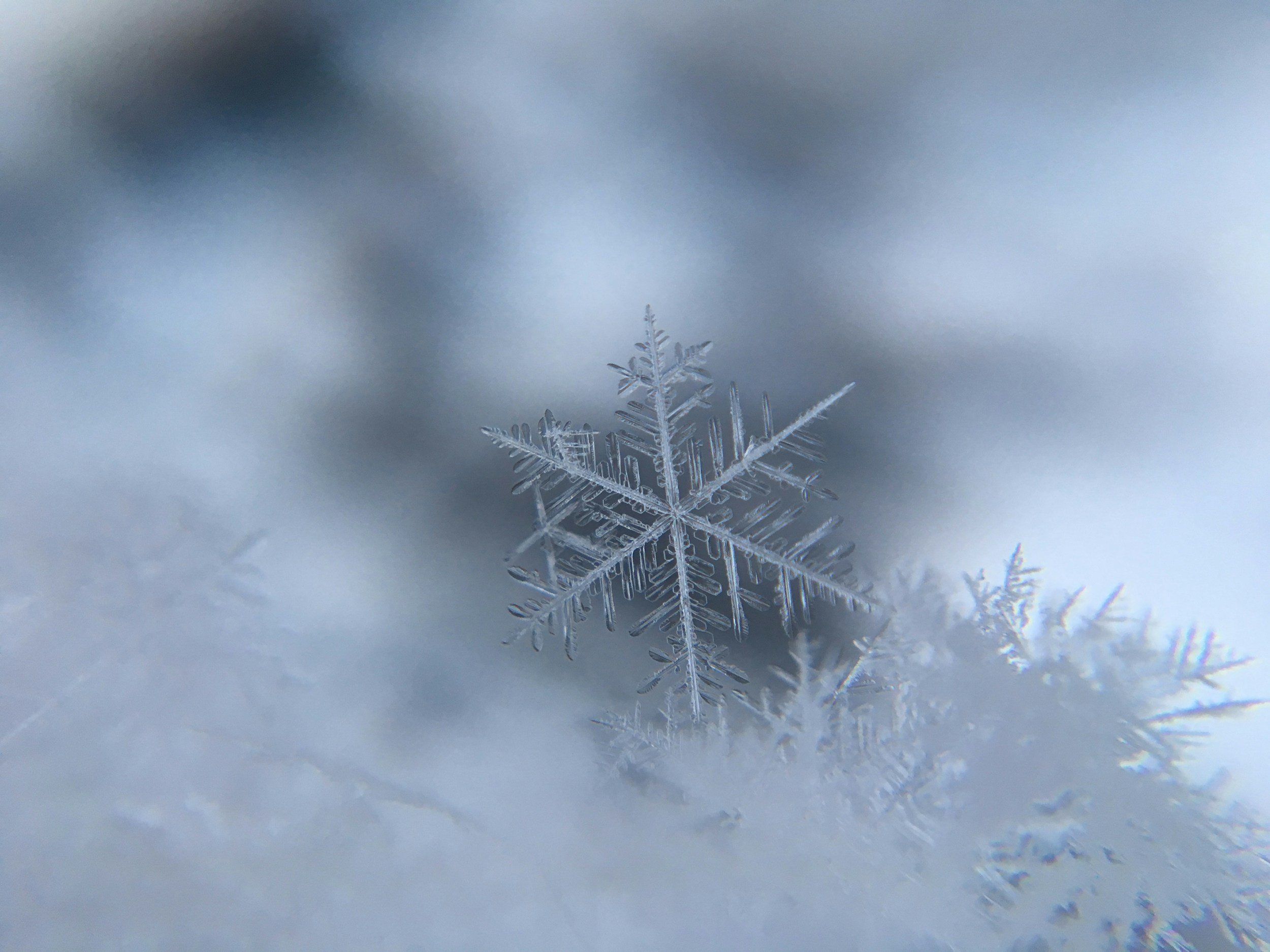 Close-up of a delicate snowflake resting on soft snow, captured in sharp detail against a blurred background. The scene evokes a sense of winter tranquility.