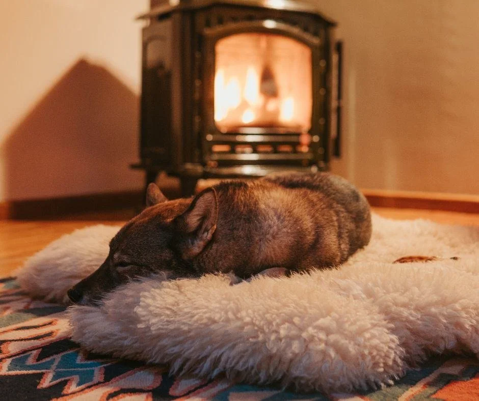 Starting the year with simple comforts is the best kind of fresh start ✨

A warm fire, a cozy rug and a happy pup enjoying it all reminds us that home is where the new year truly begins 🐾❤️