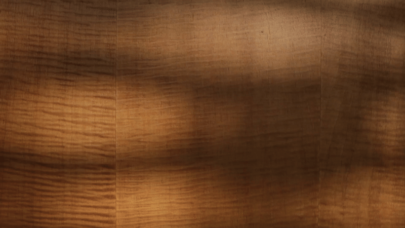 Des ombres bougeant subtilement sur un mur en bois.