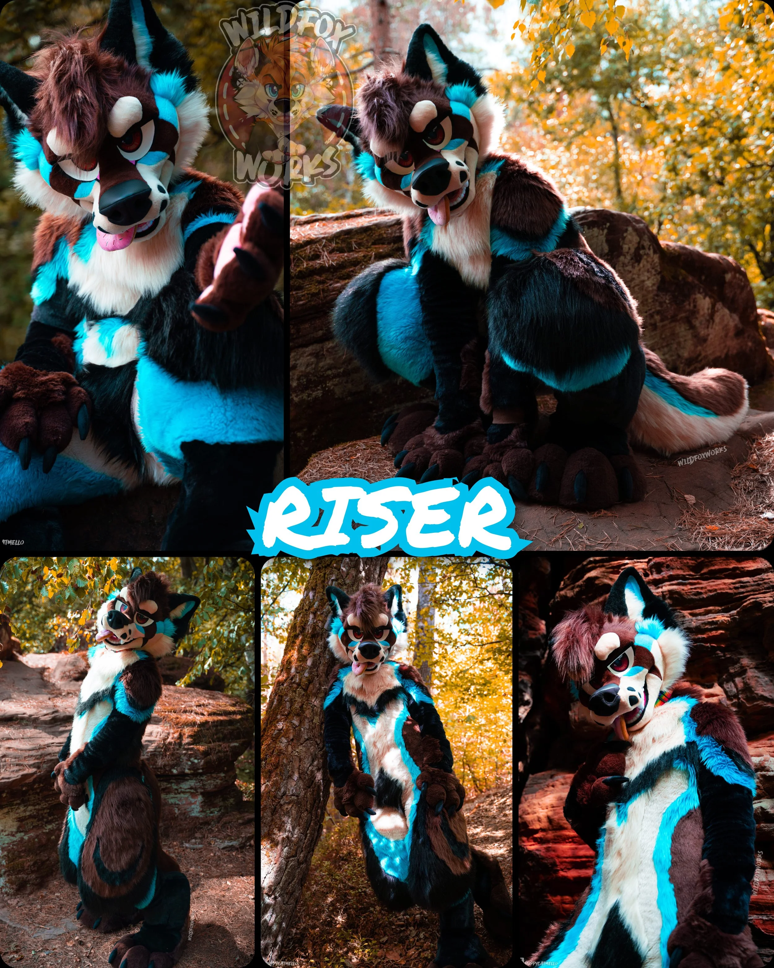 RISER - 2026