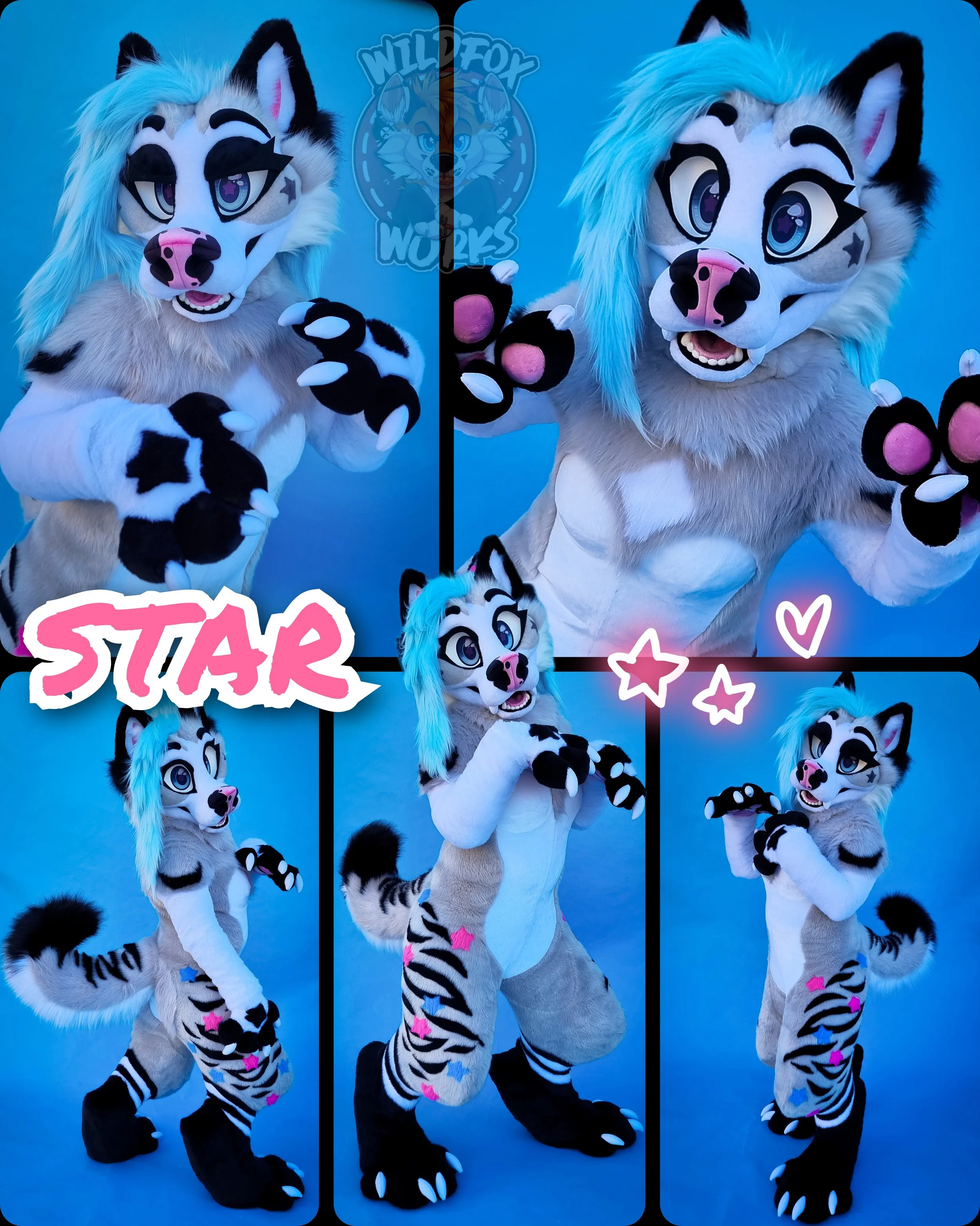 STAR - 2026