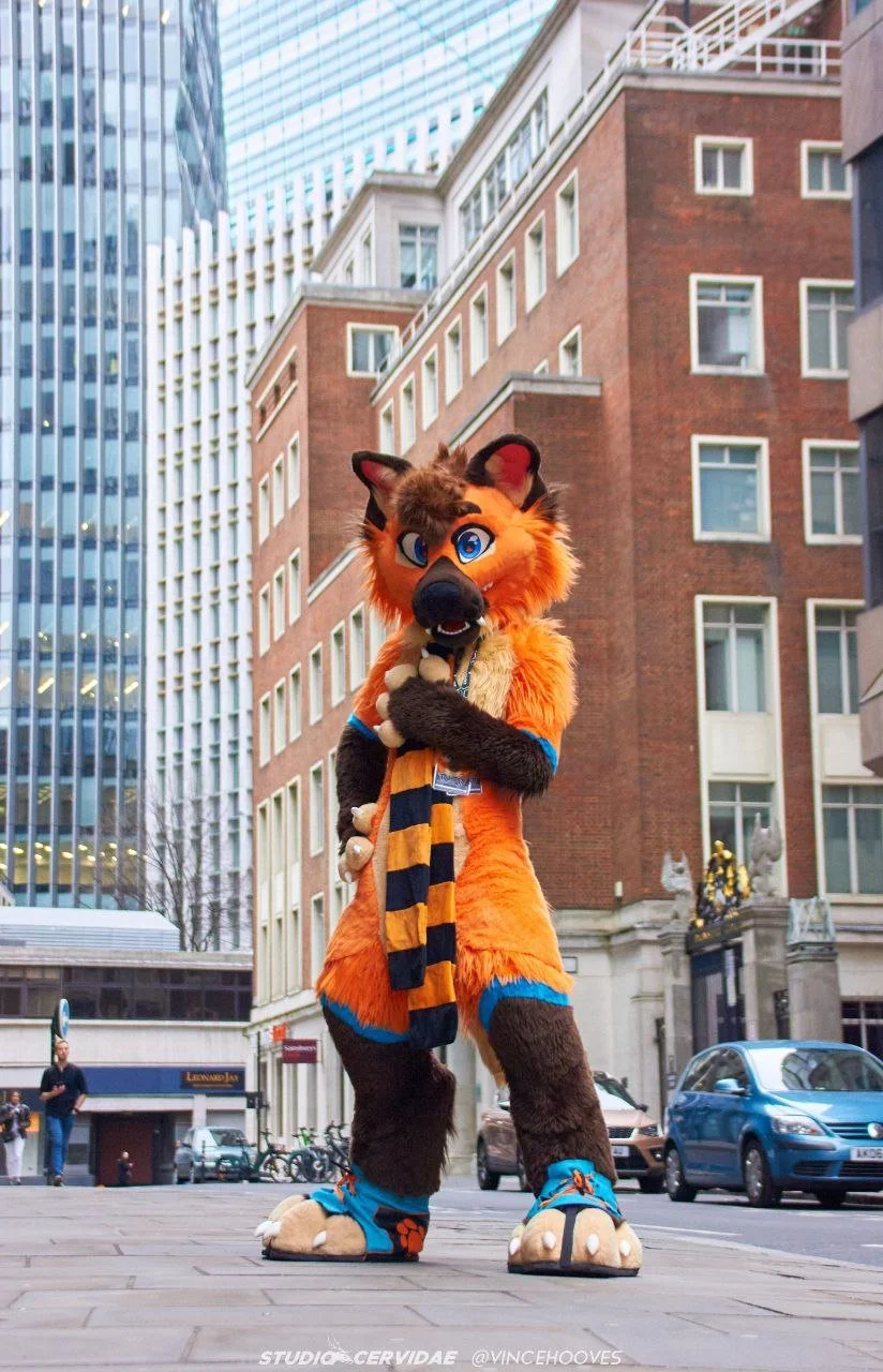 @vincehooves