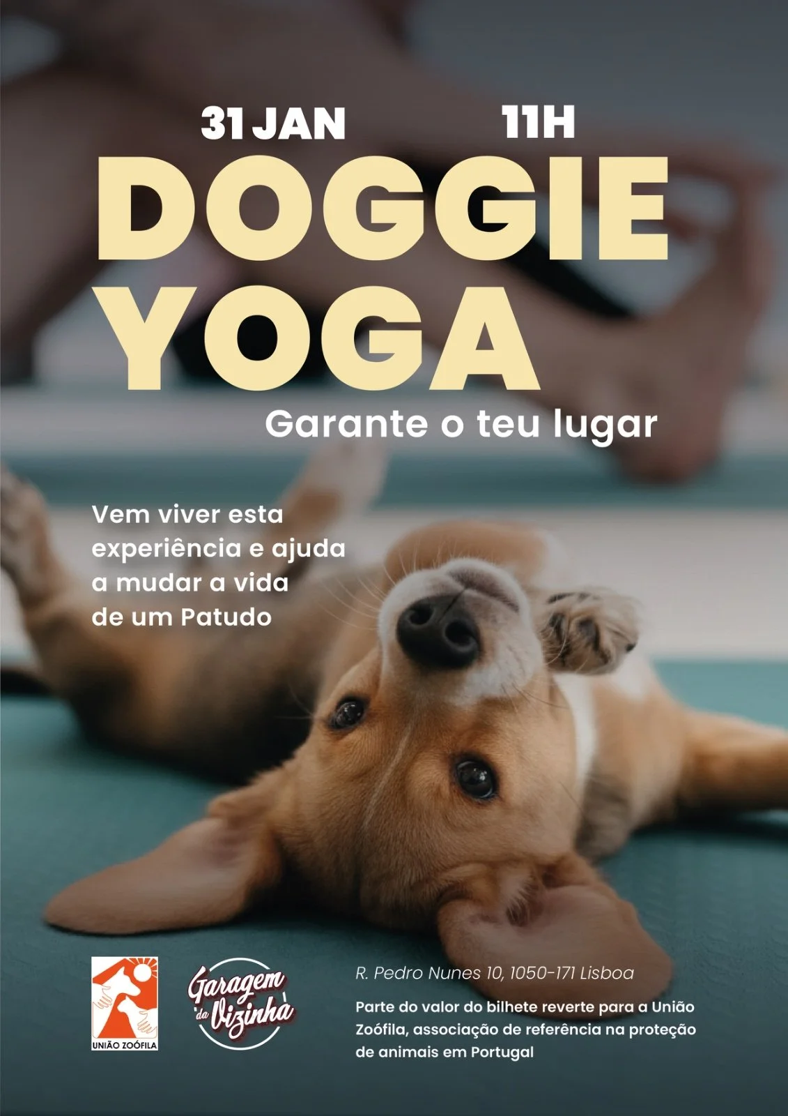 Doggie Yoga