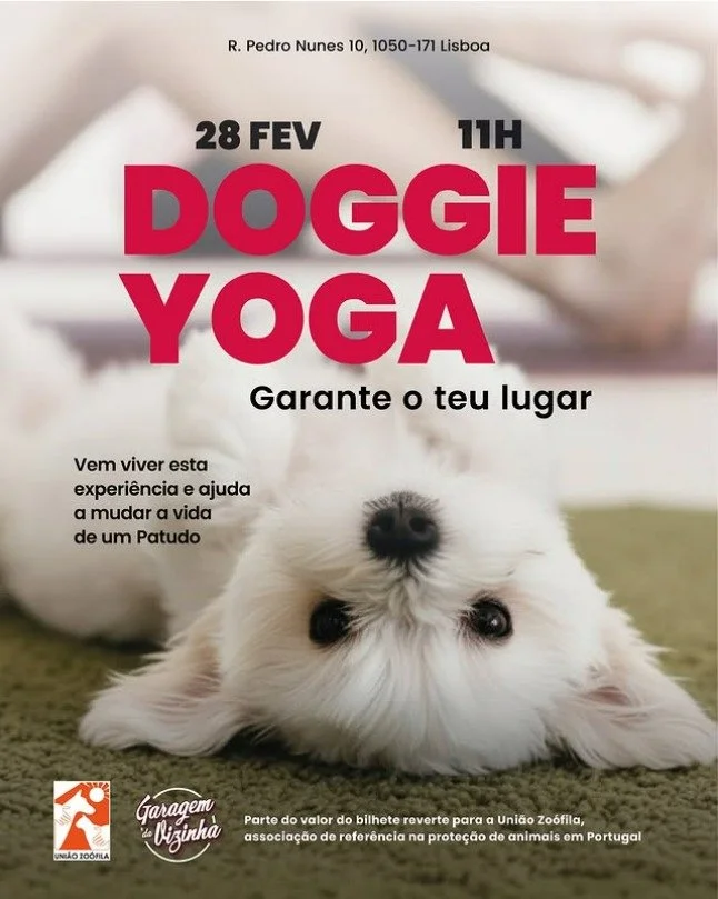 Doggie Yoga