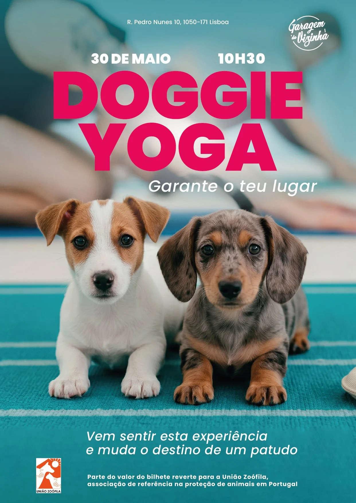 Doggie Yoga