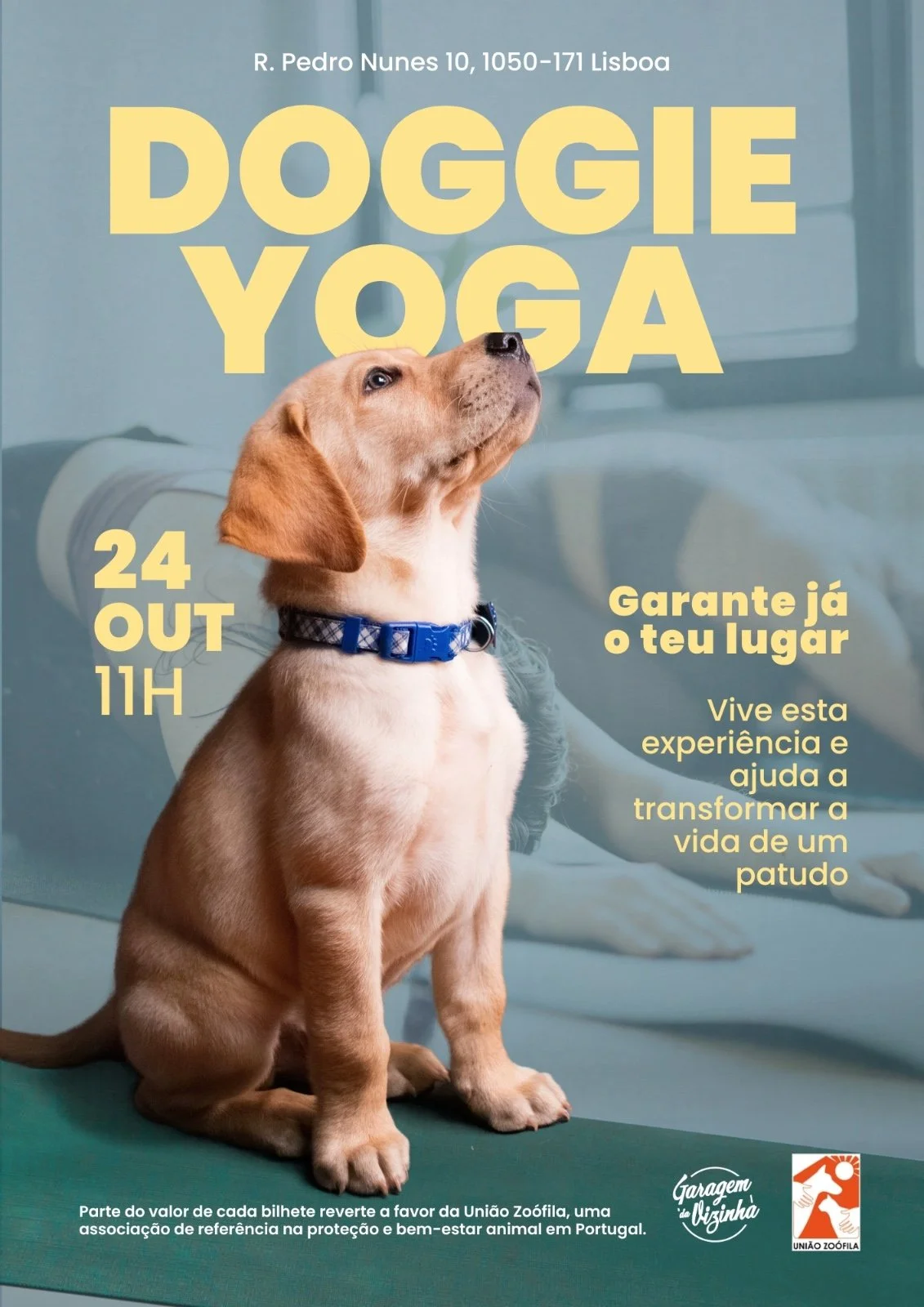 Doggie Yoga
