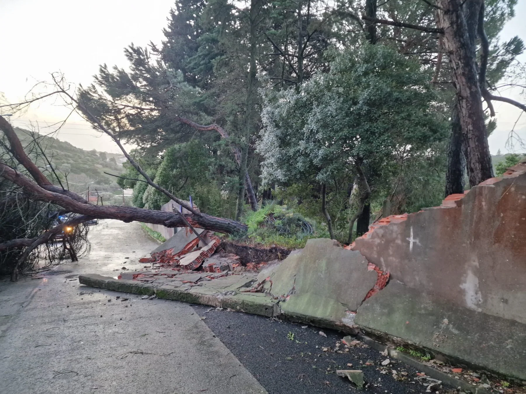 SMARTER_News_Portugal Blog_Flooding impact 3.jpeg