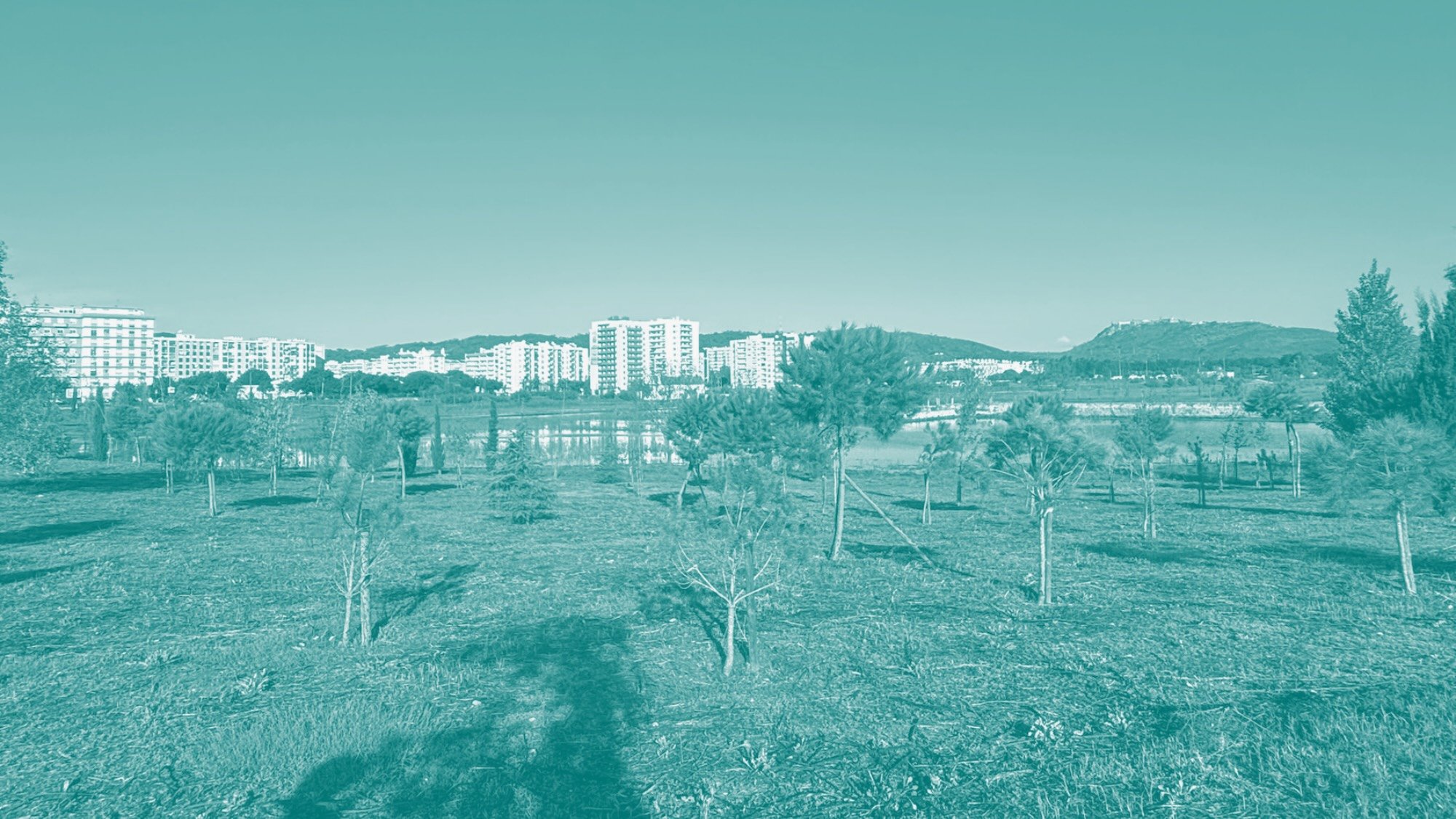 Nature-based solutions at the foreground of sea level rise and flood resilience in the Lisbon Metropolitan Area&nbsp;