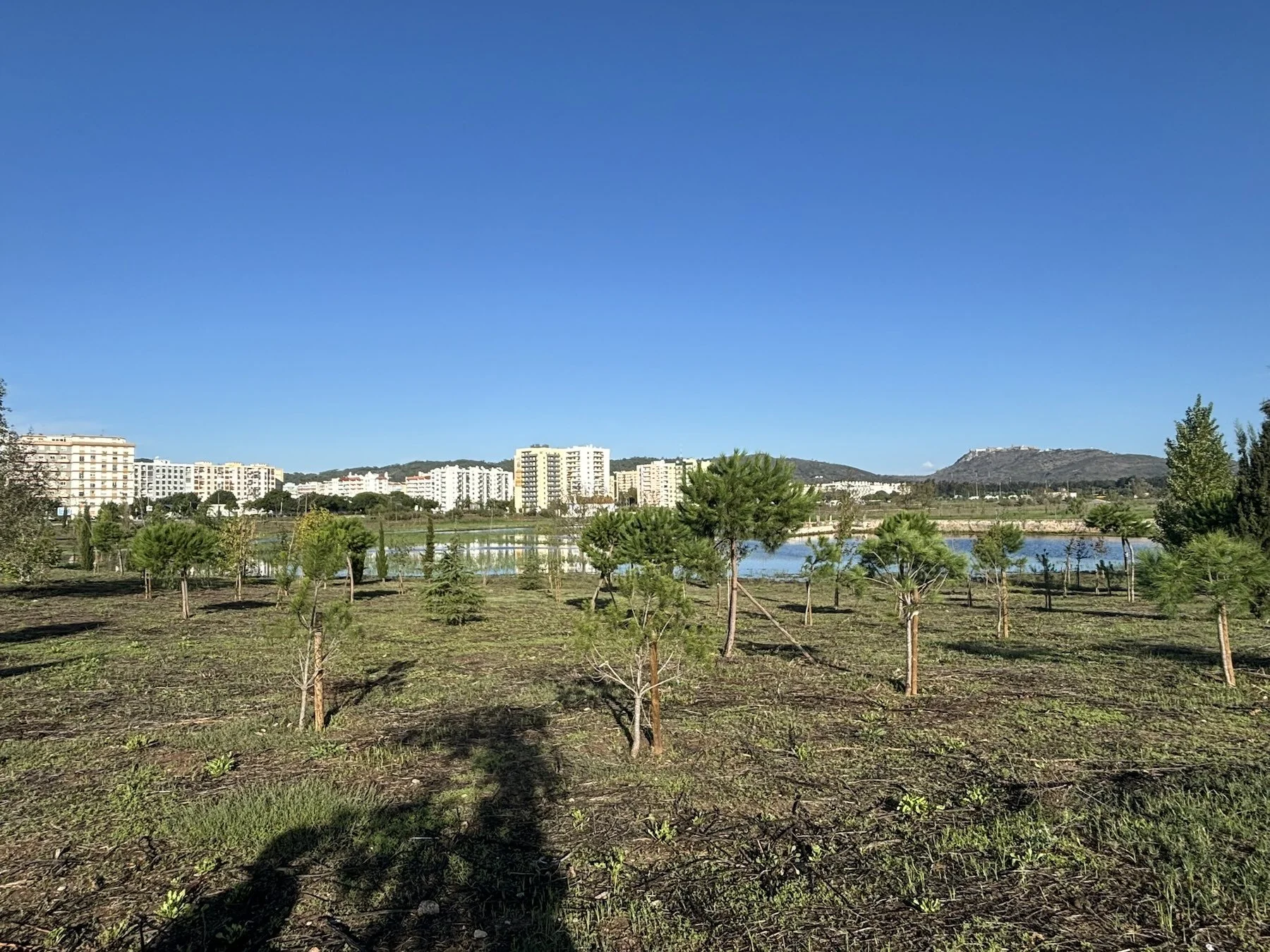 A retention pond in Setúbal, a coastal town south-east of Lisbon