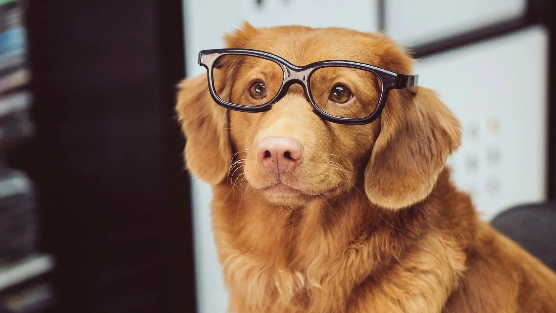 How Data Management Impacts Your Business: A No-Nonsense Chat