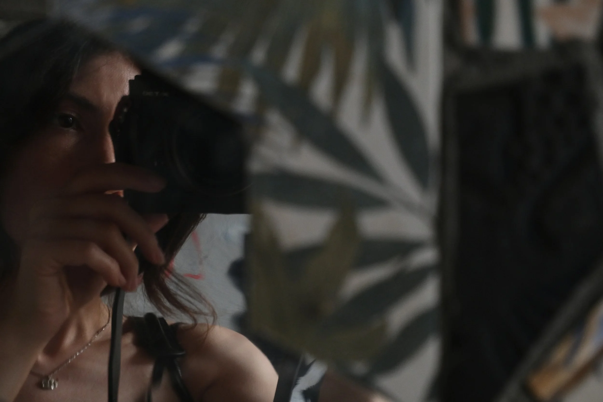 Person taking a mirror selfie using a camera, smiling, with a plant and shelves in the background.