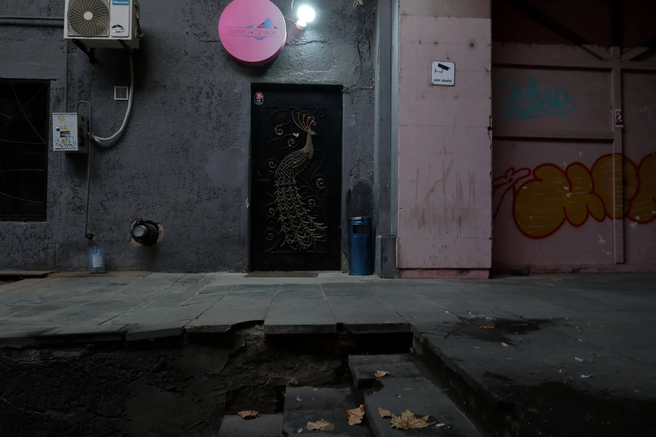 An urban alleyway featuring a black door with a detailed metal peacock sculpture, graffiti-covered walls, a pink circular sign that reads 'Sonic and Space', and various utility meters and an air conditioning unit.