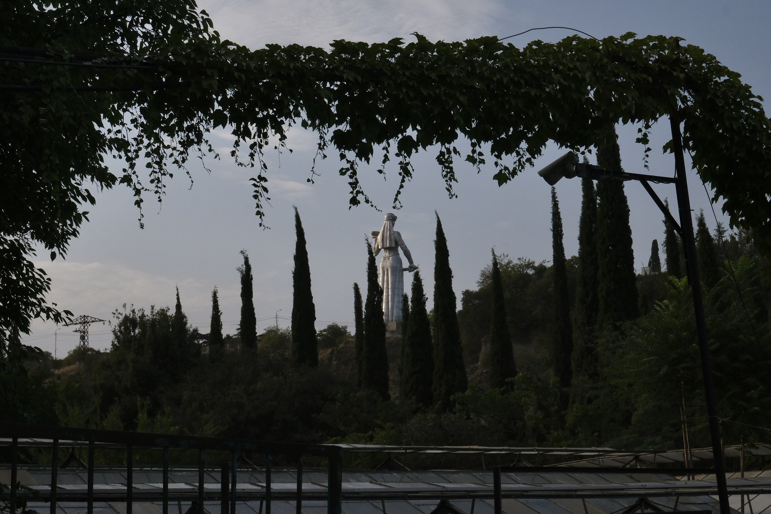 A large statue of a woman holding an object, surrounded by tall cypress trees and seen from beneath a leafy arch in a park or garden setting. This statue of the Motherland in Tbilisi