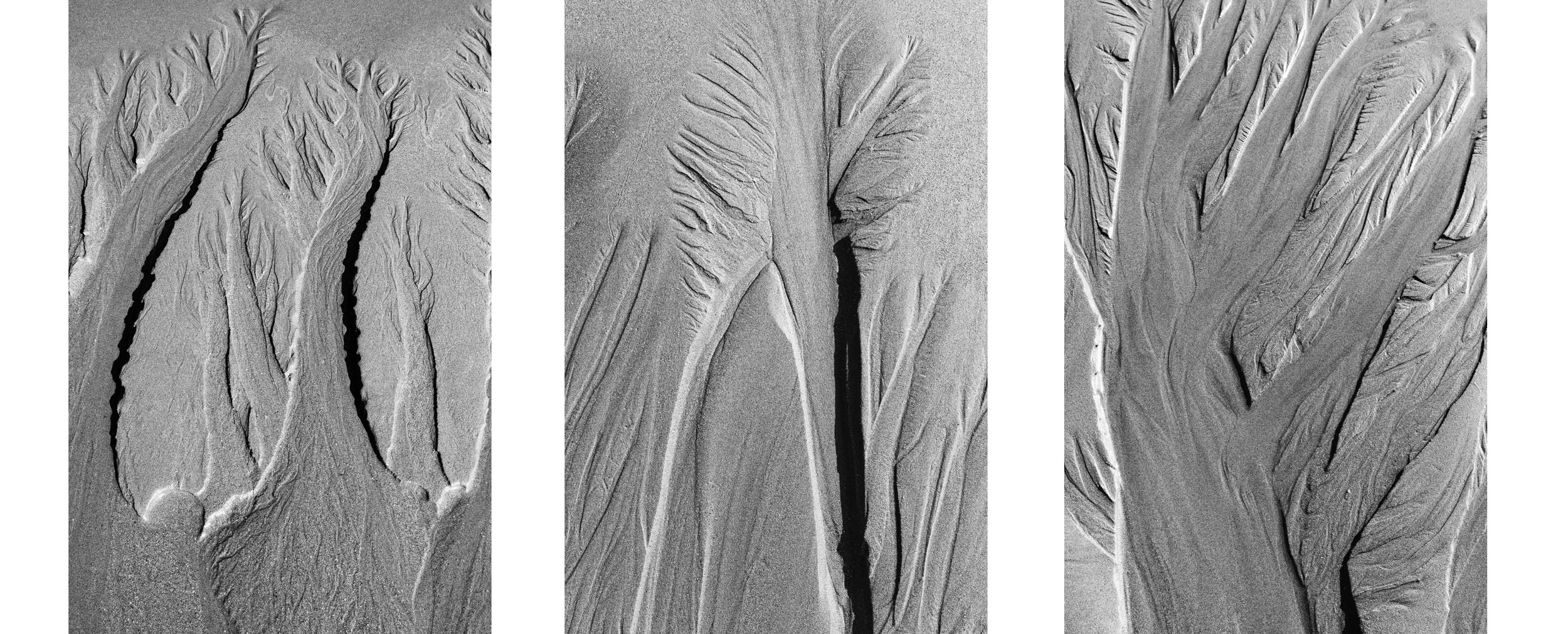 IX - triptych