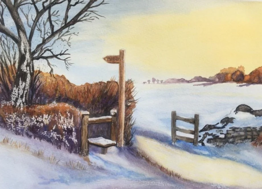 BEGINNERS WATERCOLOUR WORKSHOP