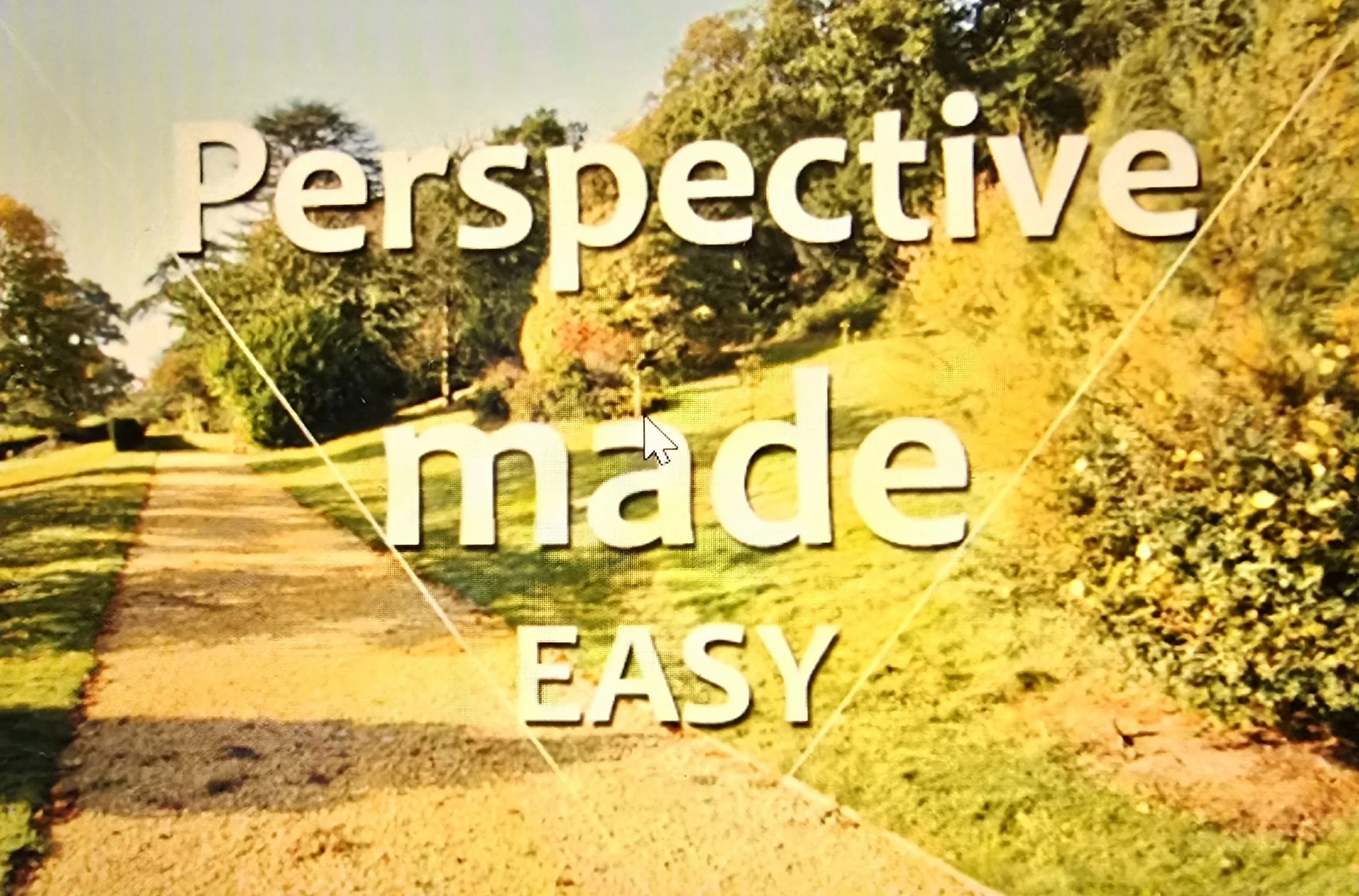 PHOTO OF PERSPECTIVE