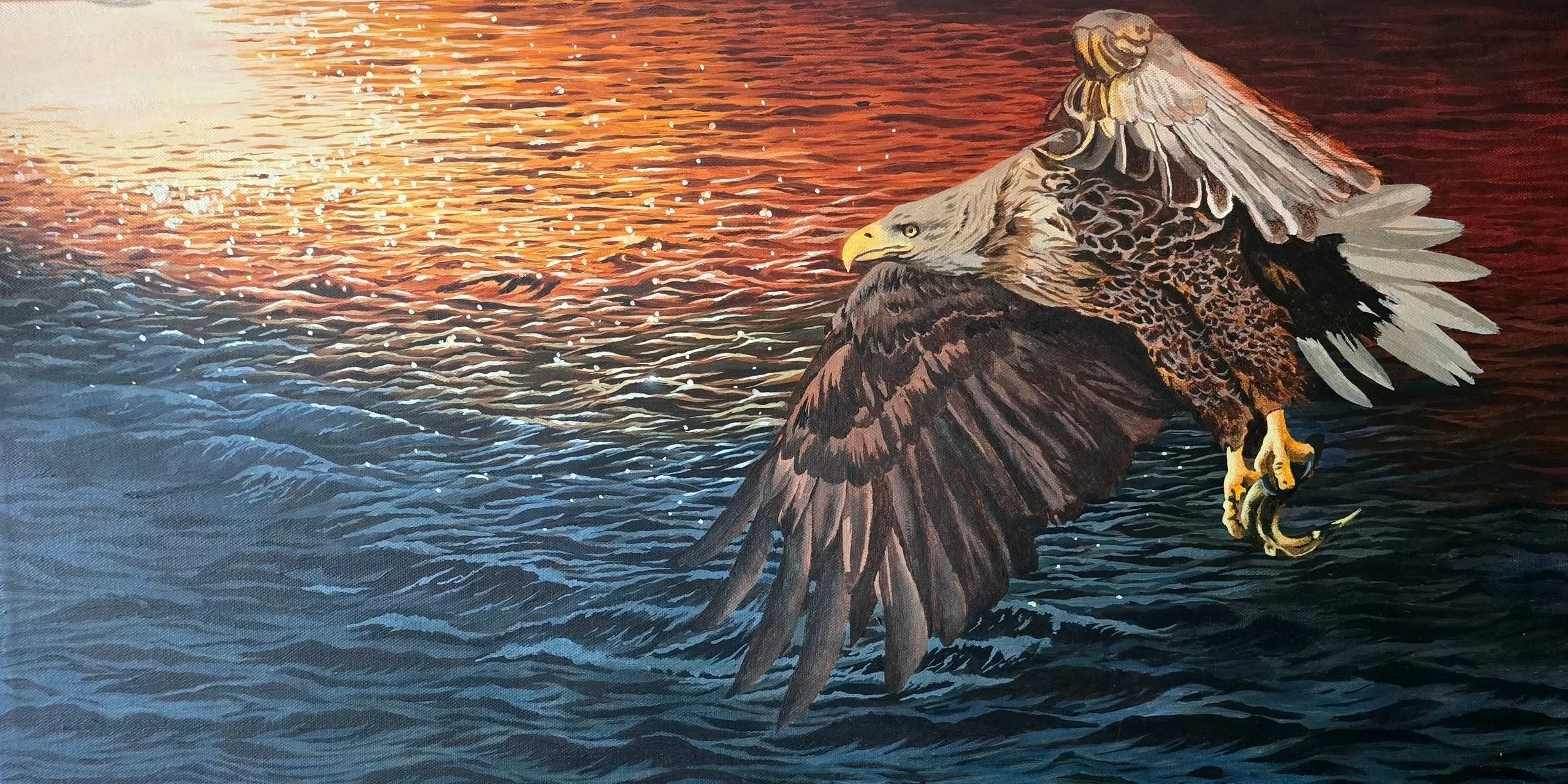 ORIGINAL ACRYLIC PAINTING  " WHITE TAILED FISH EAGLE- EARLY MORNING CATCH"