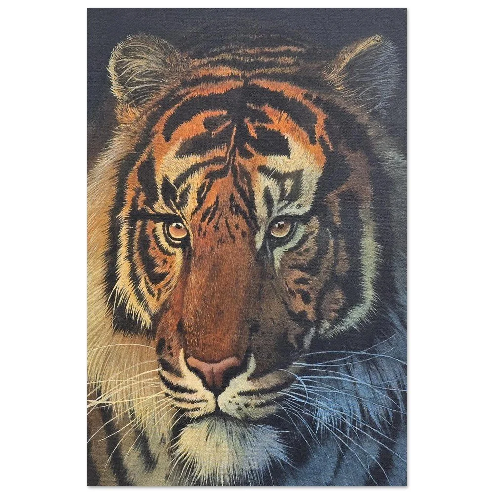 tmp-159-0bFnyOWlh0in