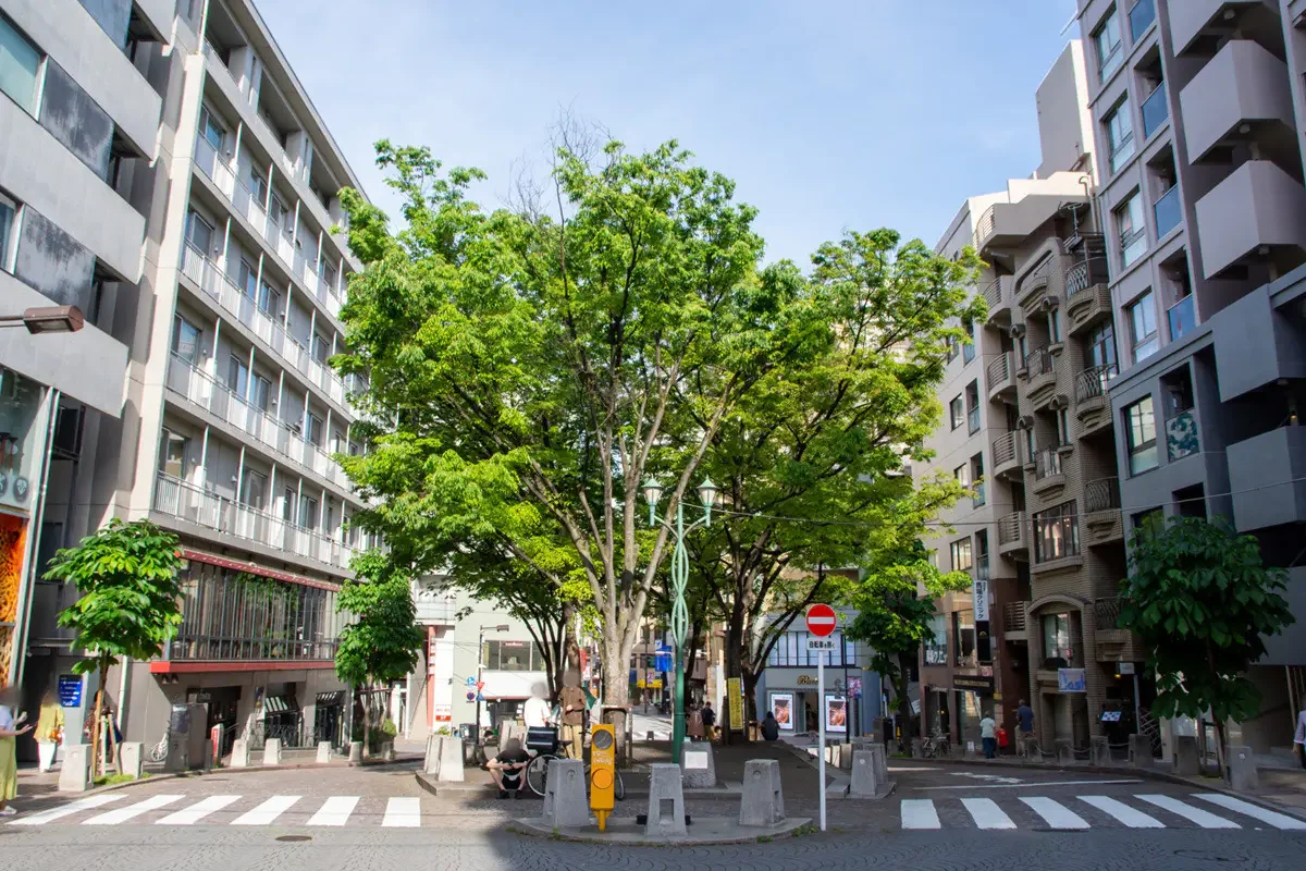 A landscape photo of the Azabu Juban patio, a small, stone plaza lined with tall, old trees