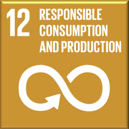 Duizendjarige energie- en productiesymbool met het nummer 12 en de tekst 'Verantwoord verbruik en productie' op een goudkleurige achtergrond.