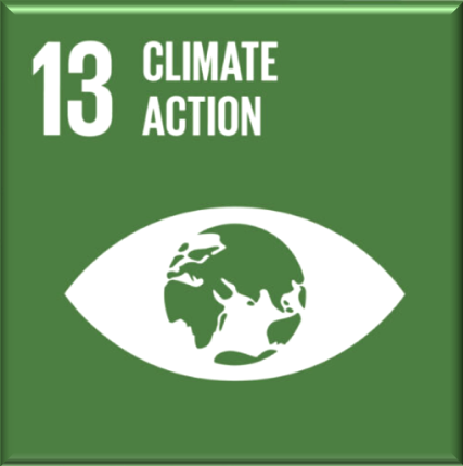 Groen vierkant met de tekst '13 Climate Action' en een wit oog met een wereldbol binnenin.