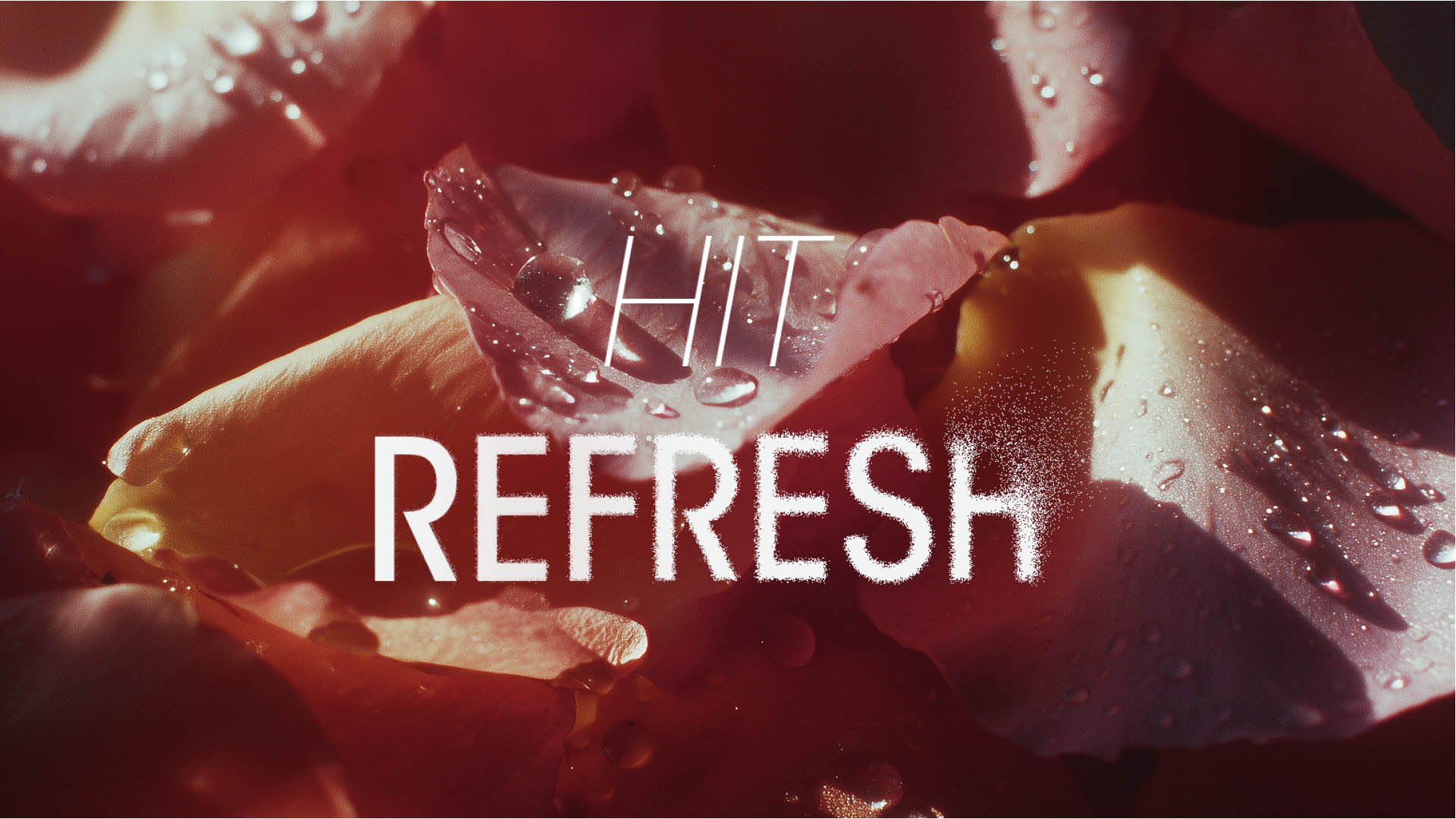 Hit Refresh campaign typography for Blink Brow Bar Rosewater Mist skincare launch