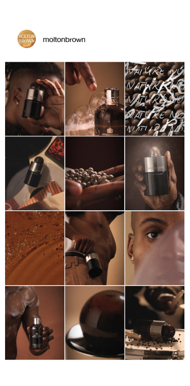 Mobile screen showing fragrance campaign grid layout