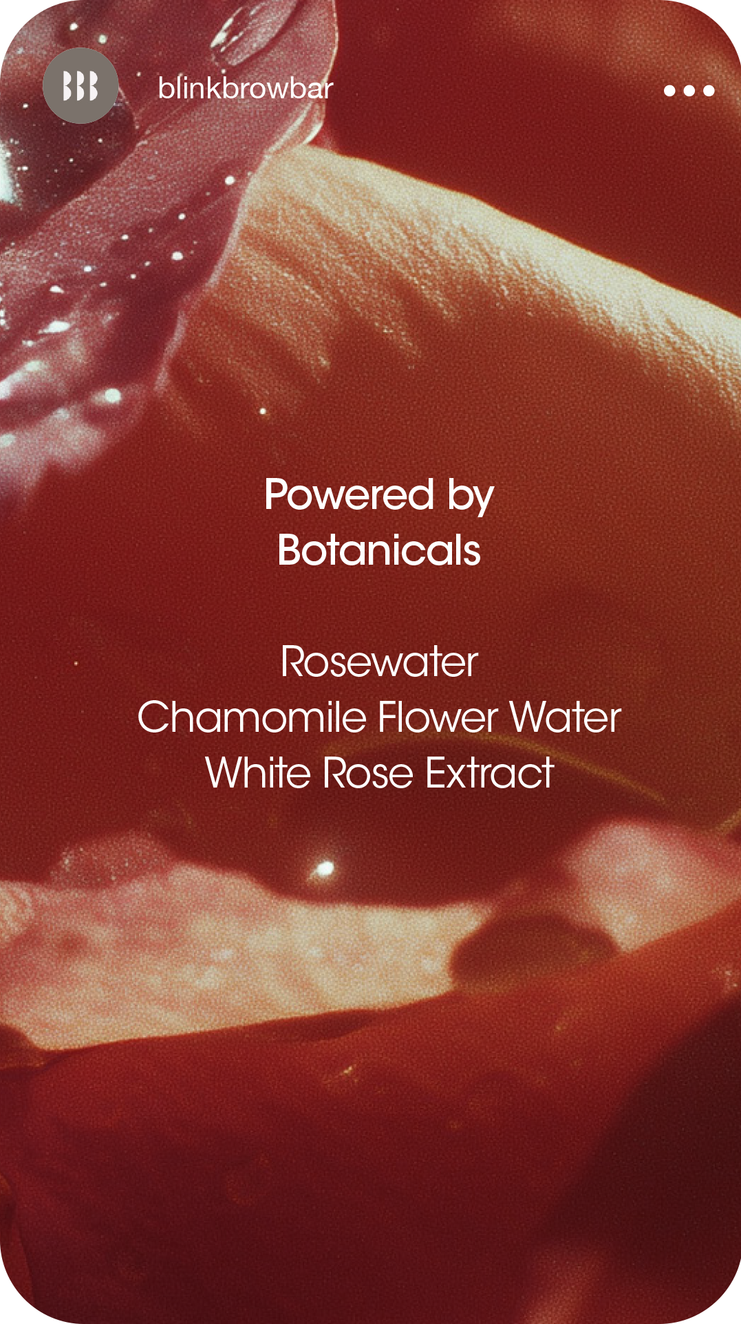 Instagram story series created for the Blink Brow Bar Rosewater Mist skincare campaign