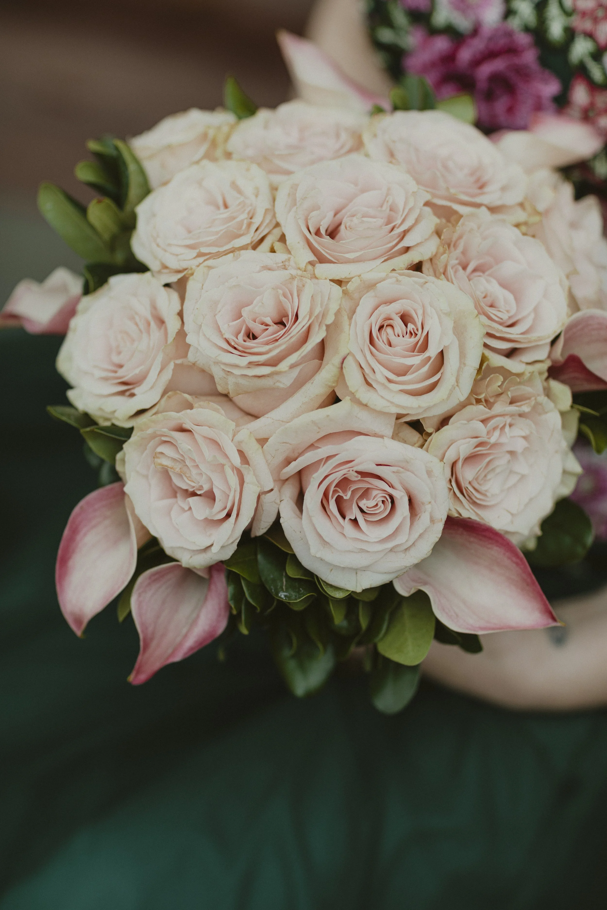 congratulations-1287.jpg
