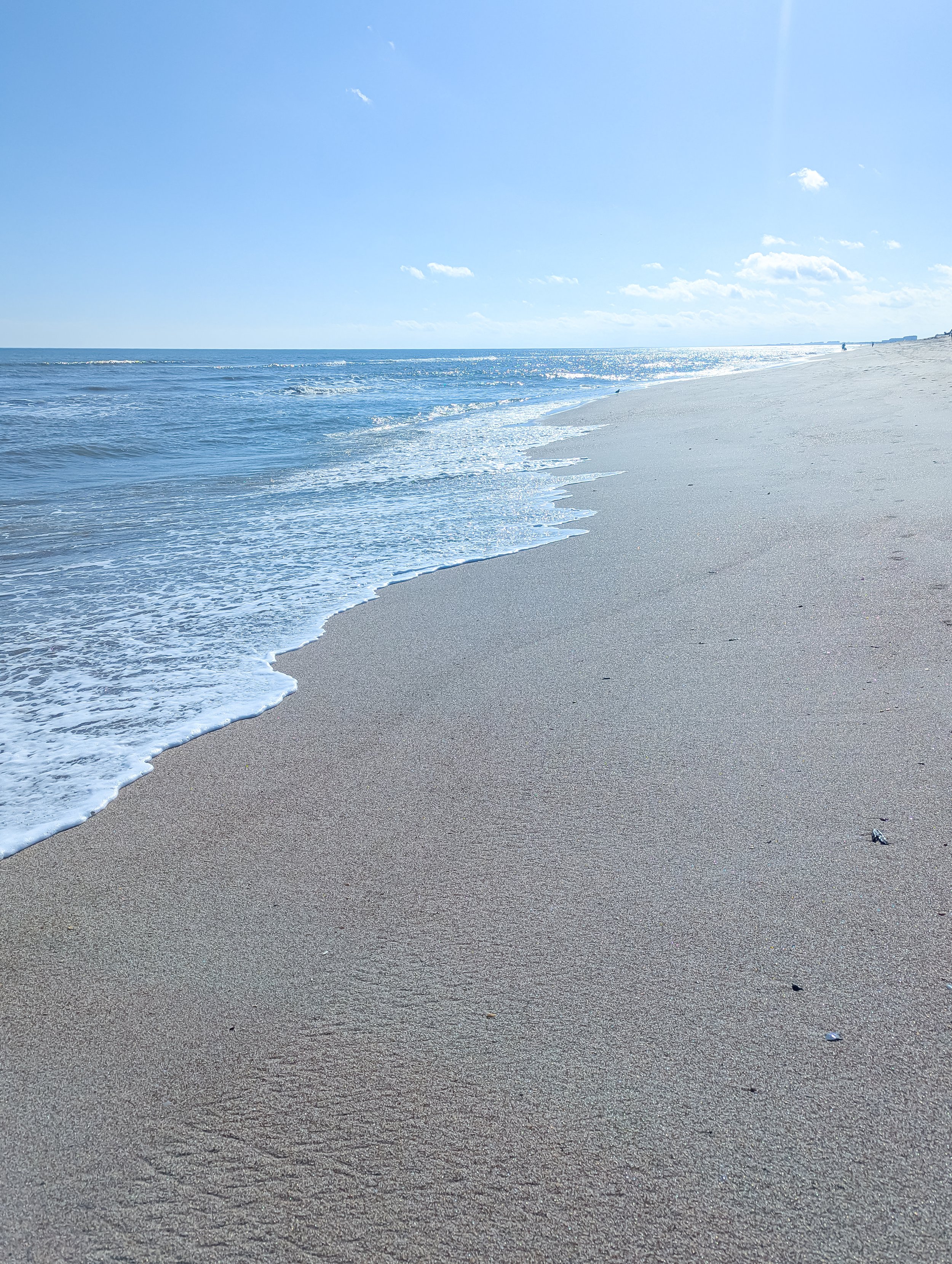 amelia-island-salty-rabbit-beach-07.jpg