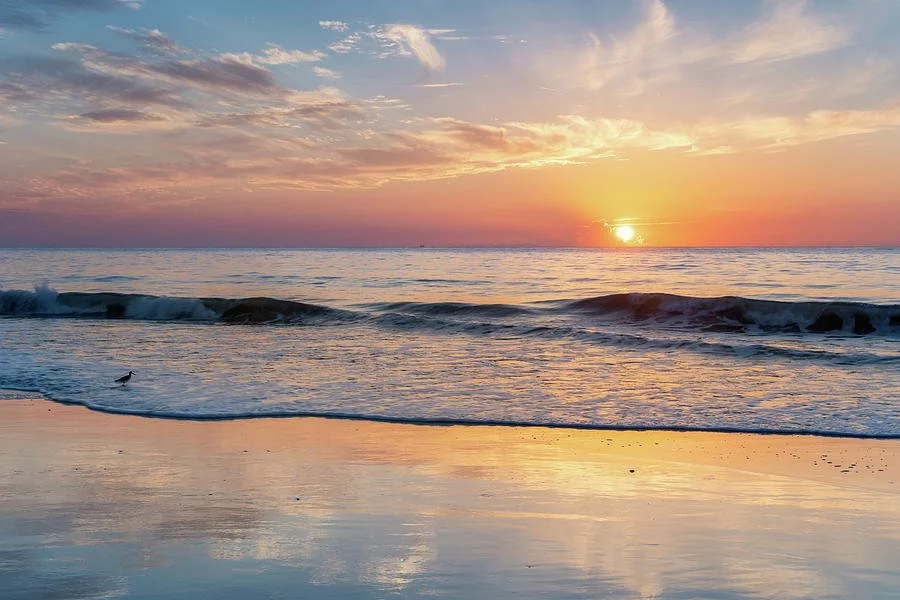 amelia-island-sunrise.jpg