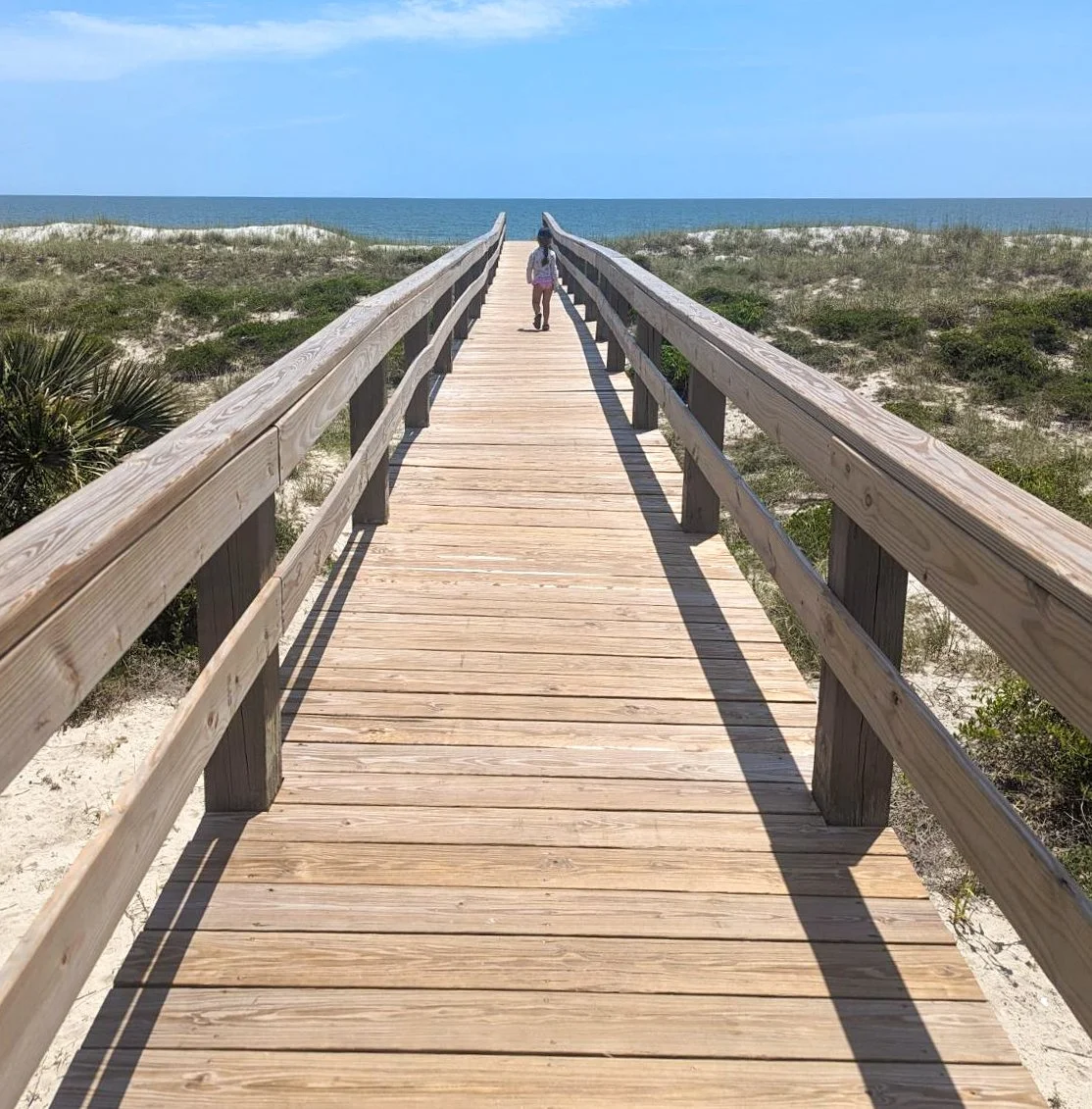 amelia-island-salty-rabbit-family-03.jpg